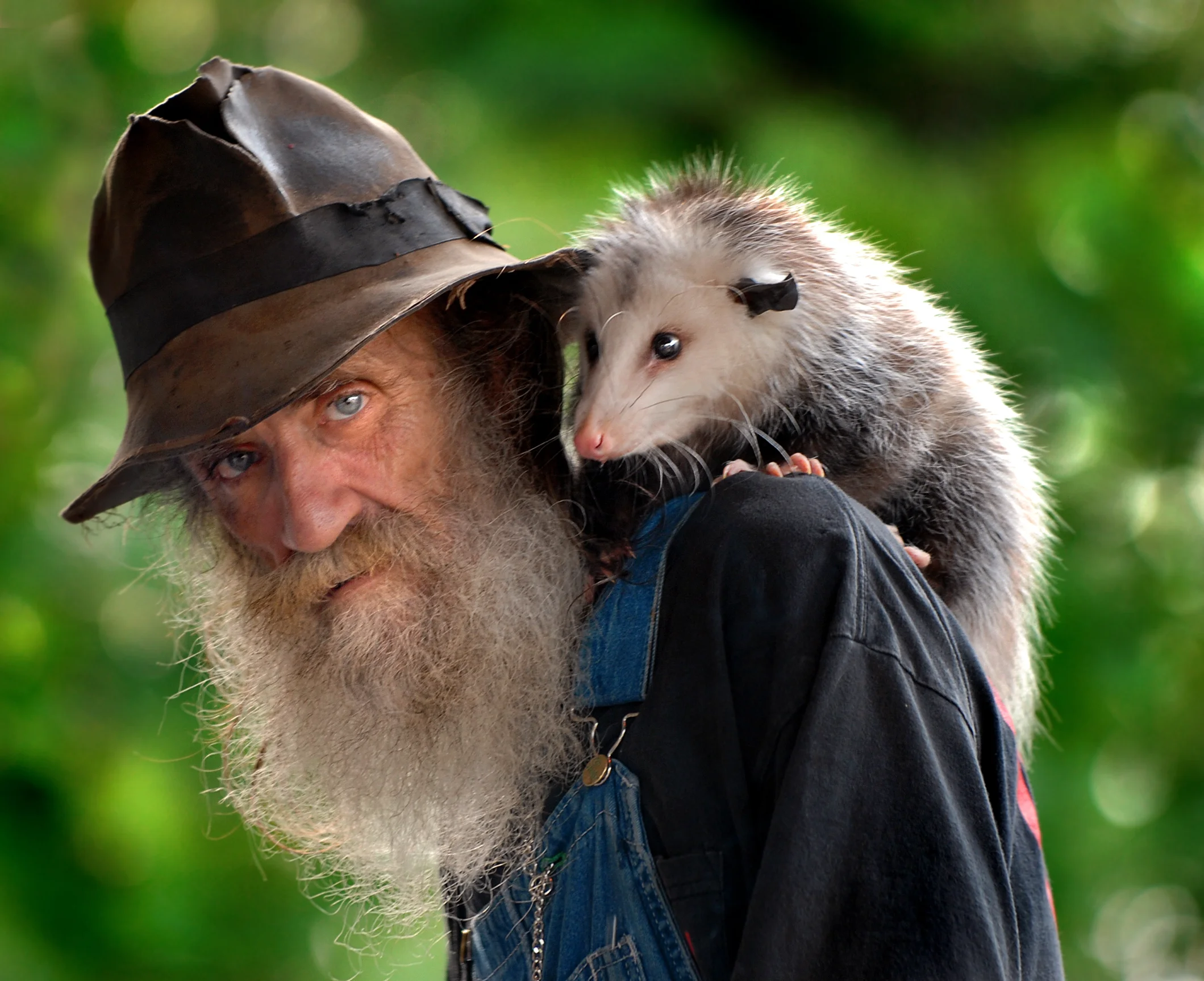 BarneyBarnwell-PlumHollow --FIN.jpg