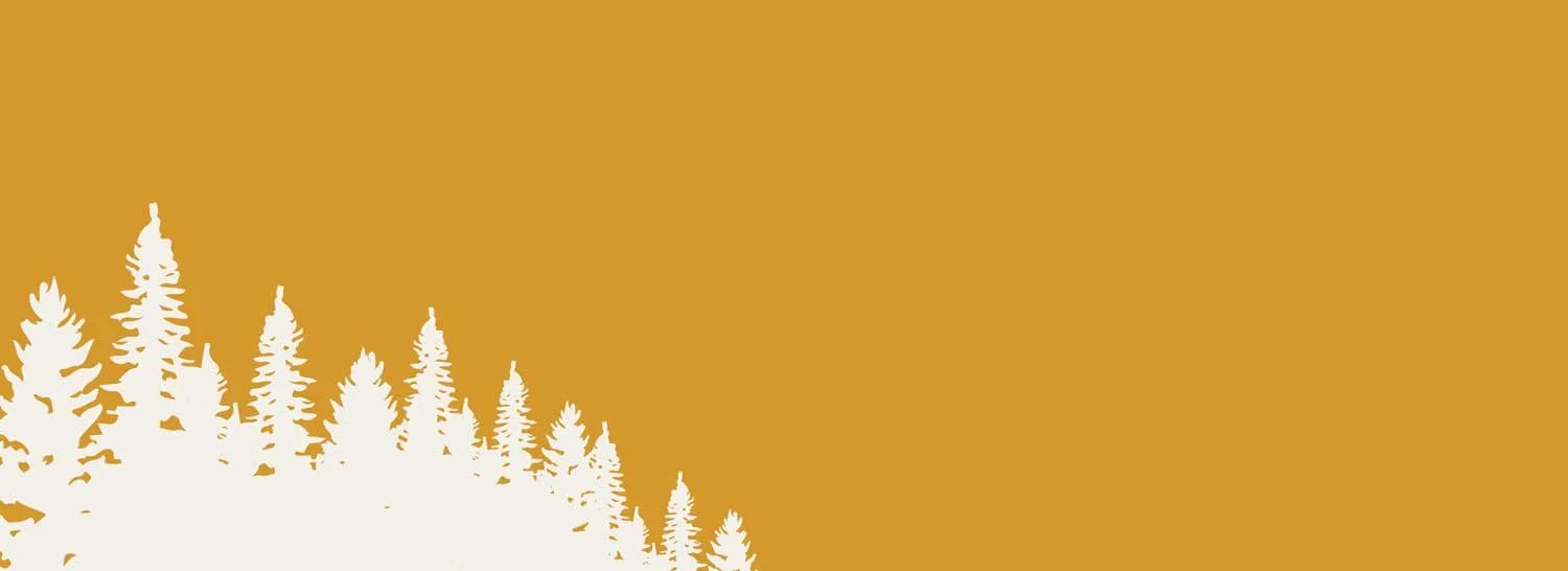 Silhouette of pine trees against an orange background.