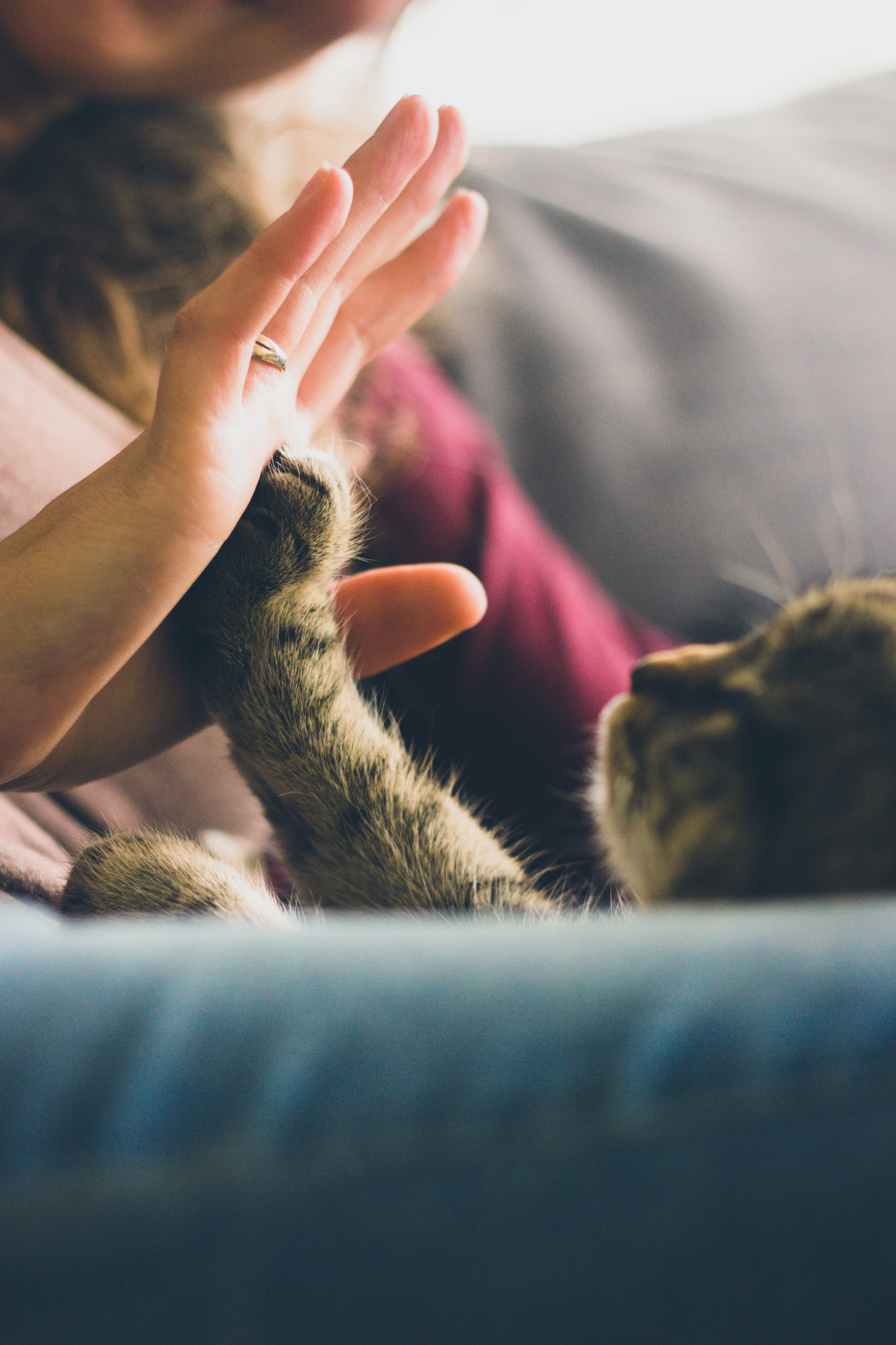 High five! You’re connecting to clients exactly where they are right now.