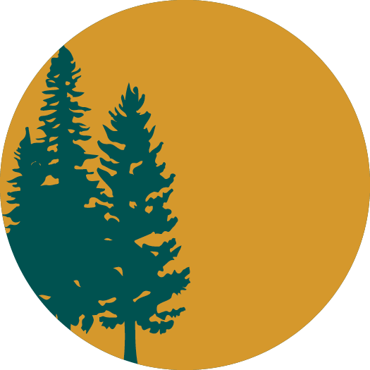 Silhouette of pine trees against an orange circular background