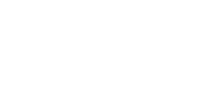 Silhouette of a cat leaping or jumping