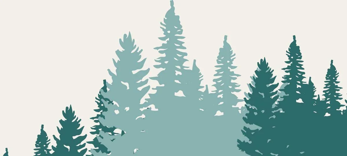 Silhouette illustration of evergreen trees against a light background.