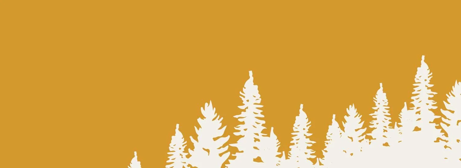 Silhouette of pine trees against an orange background