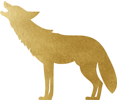 Silhouette of a gold-colored howling coyote