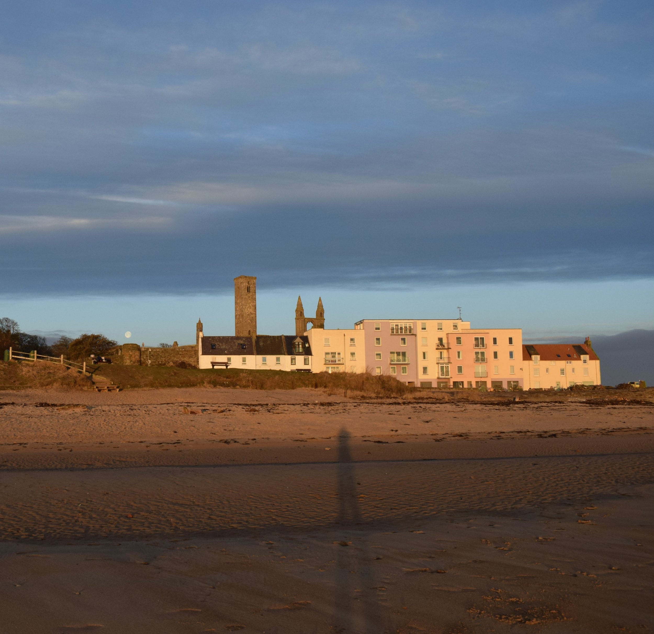 Landscape_Morning Shadow - Andrea Untama.jpeg