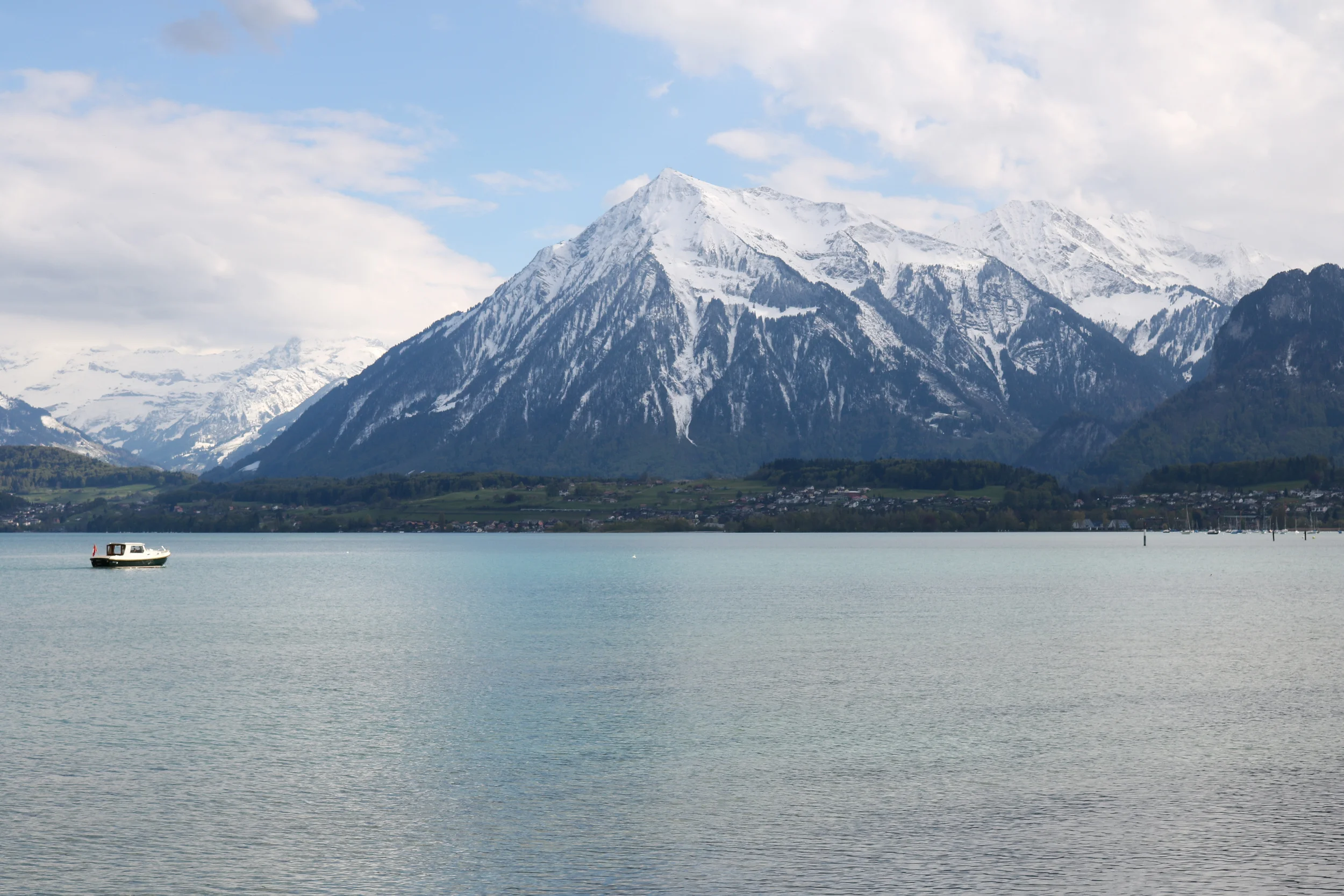 IMG_6084.jpg