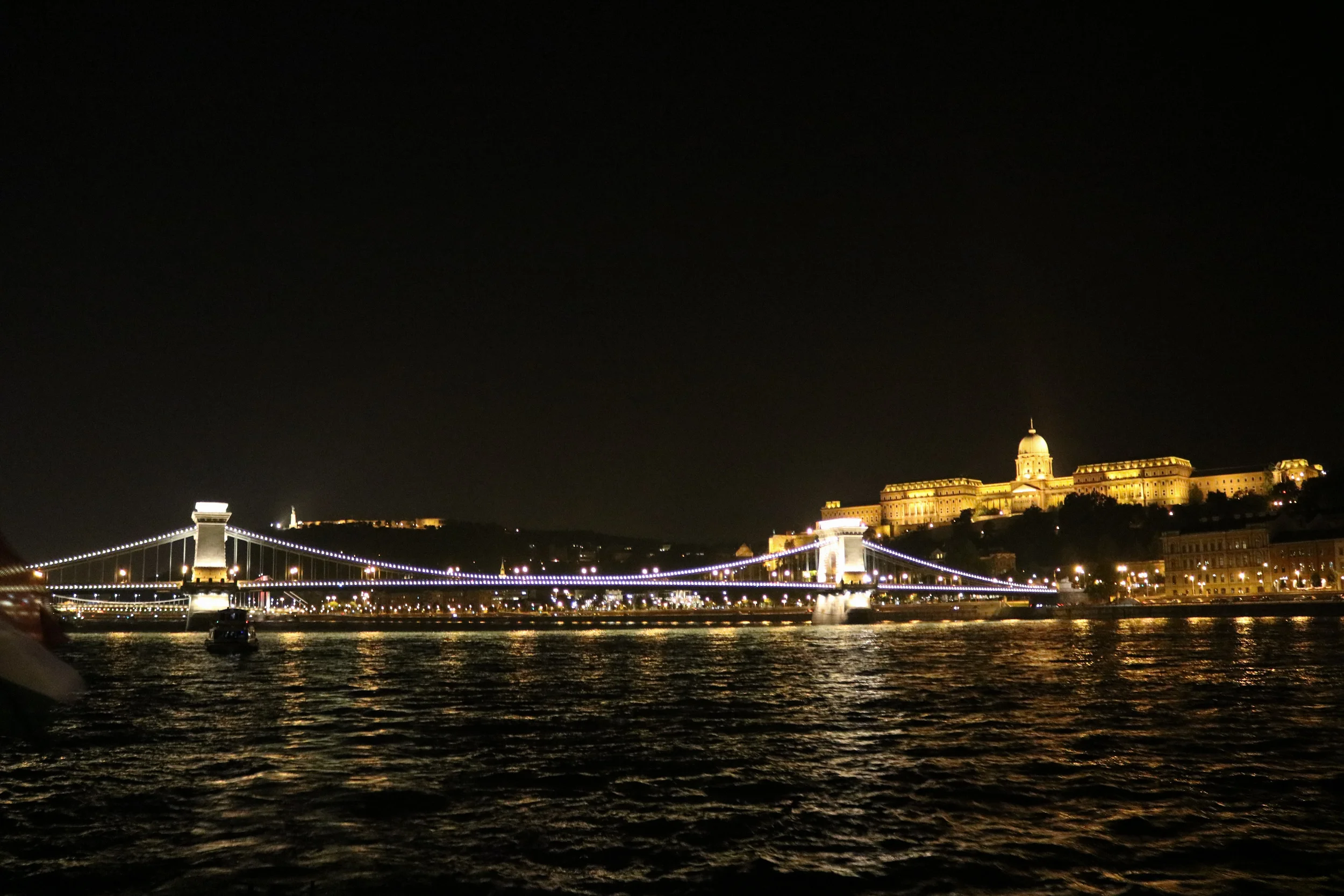 IMG_7029.jpg