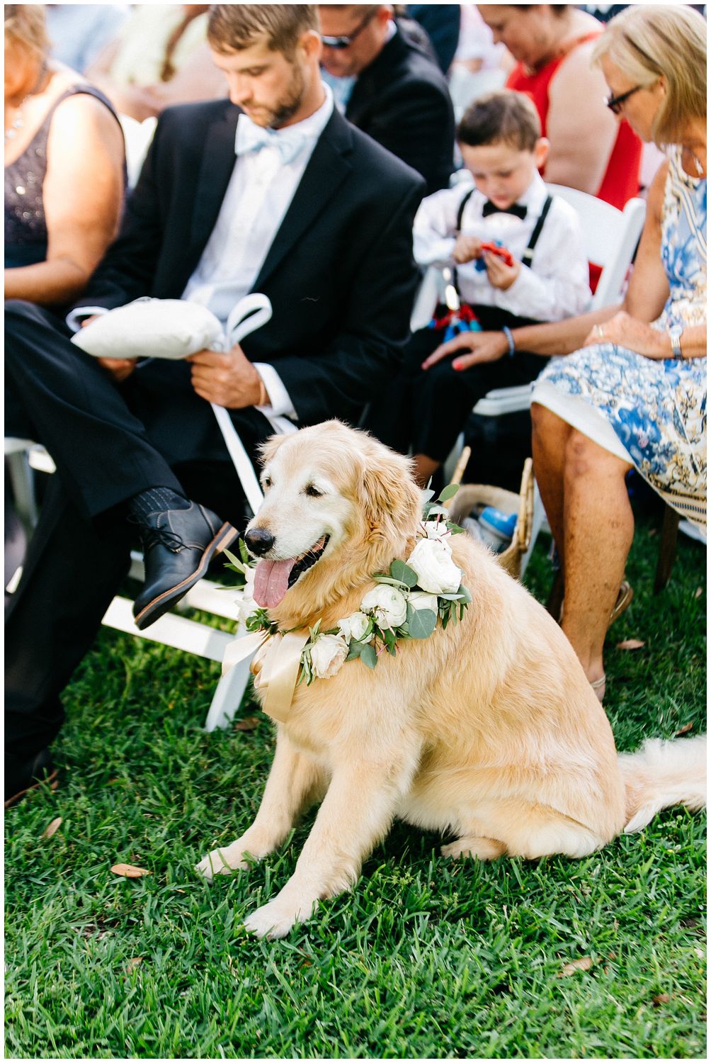 flower girl dog