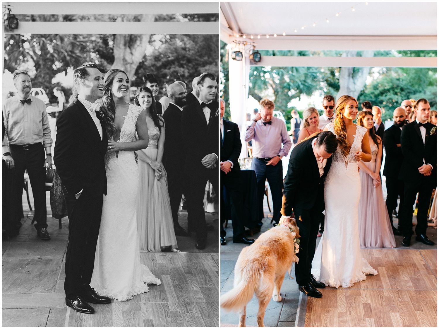 dog on wedding dance floor
