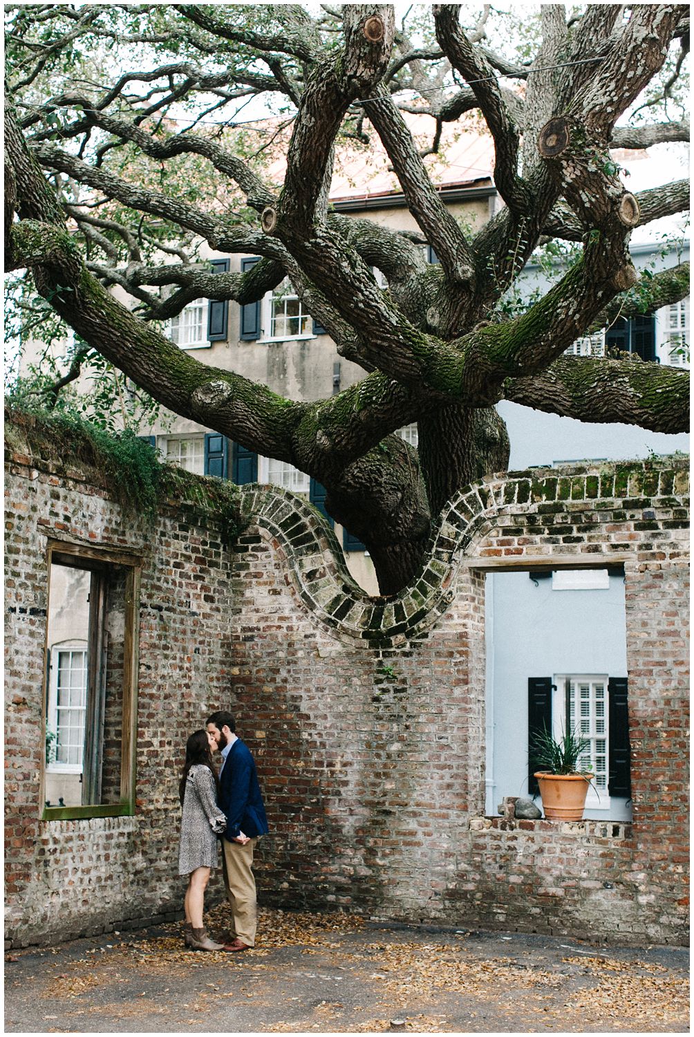 downtown charleston oak tree