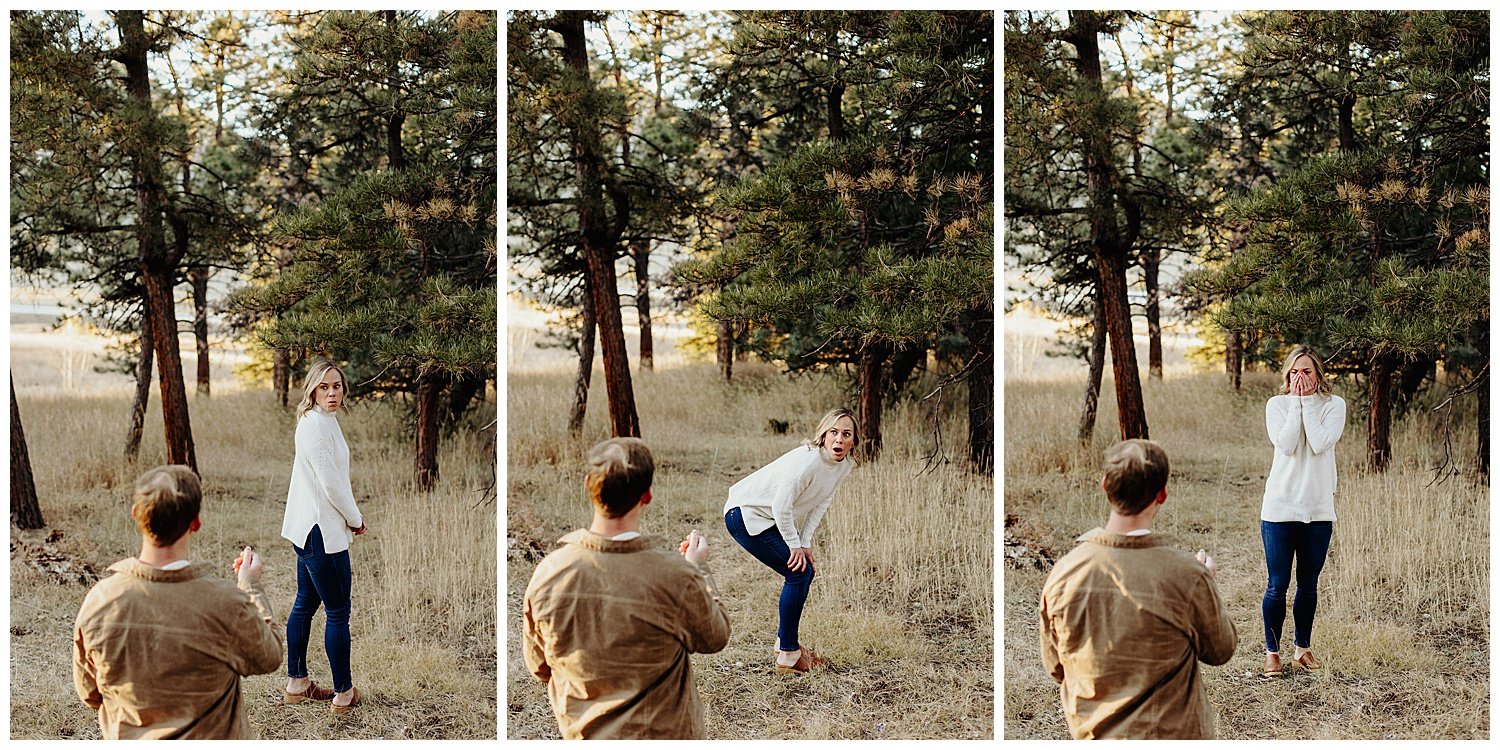 colorado surprise proposal in mountains