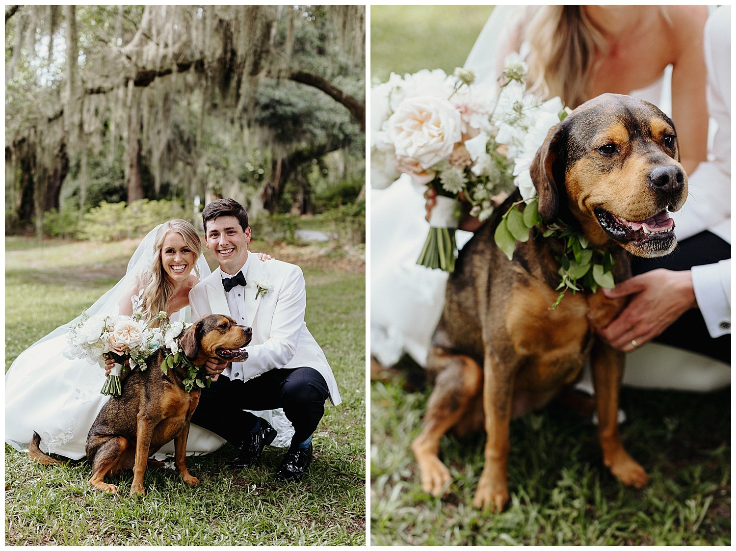 bride and groom and their dog with flower collar