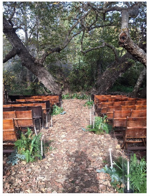 Ceremony-Area.jpg