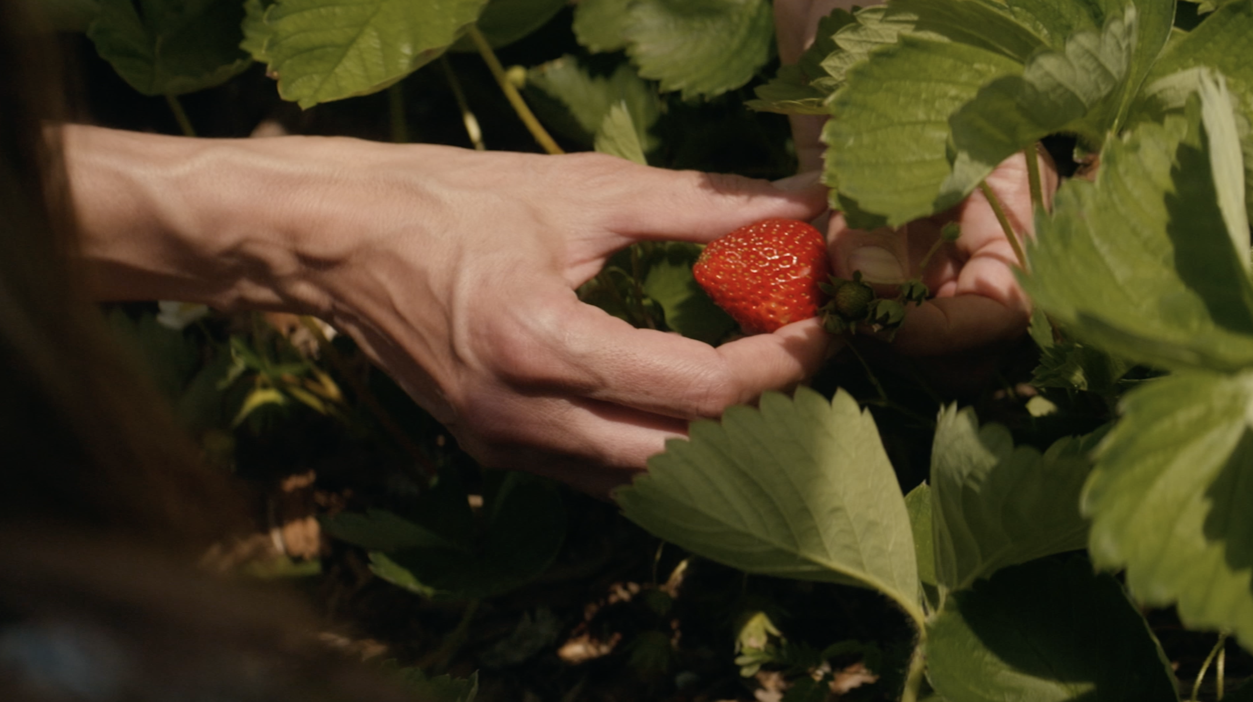 Screenshot 2025-03-06 at 2.39.04 PM.png