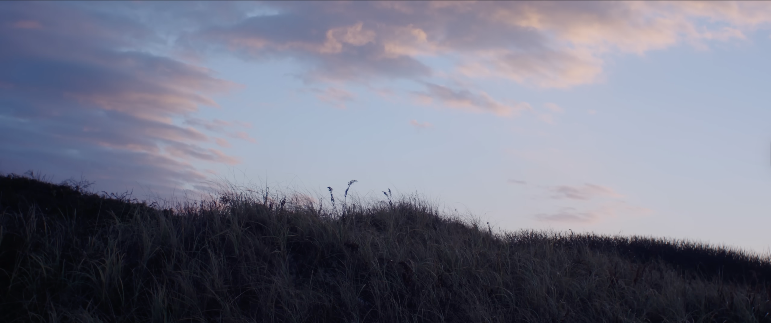 Screenshot 2026-02-10 at 2.15.32 PM.png