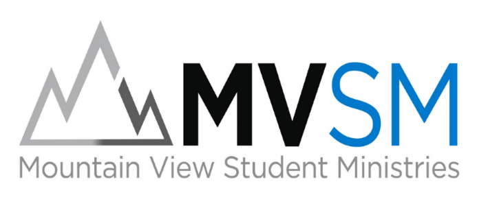 mvsm logo.jpg