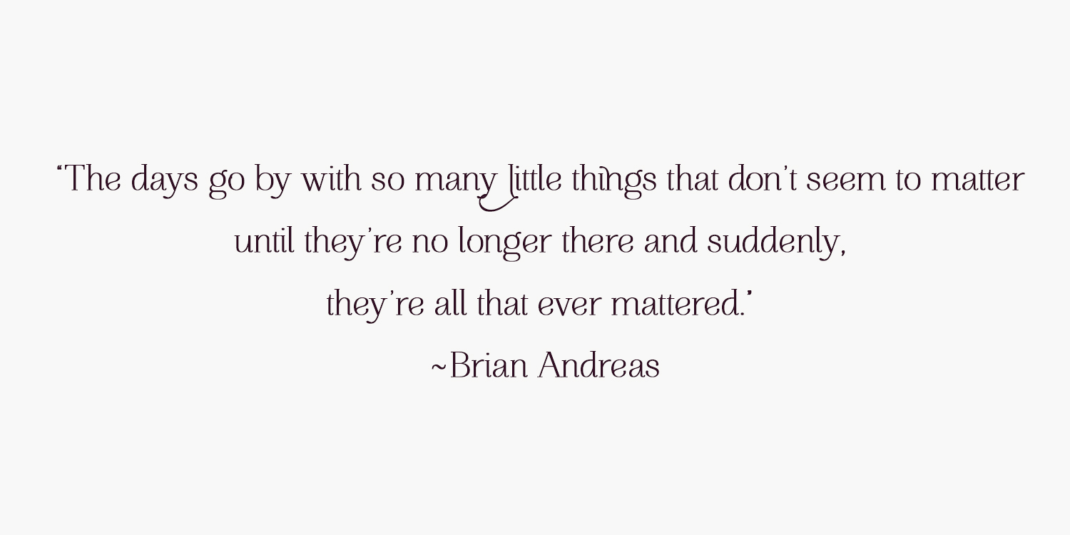 BrianAndreasQuote.jpg