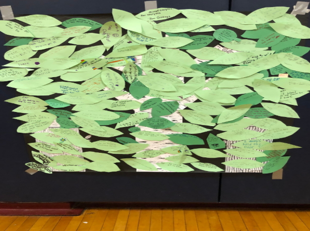 Above: Acts of Kindness Trees once completed by both student groups