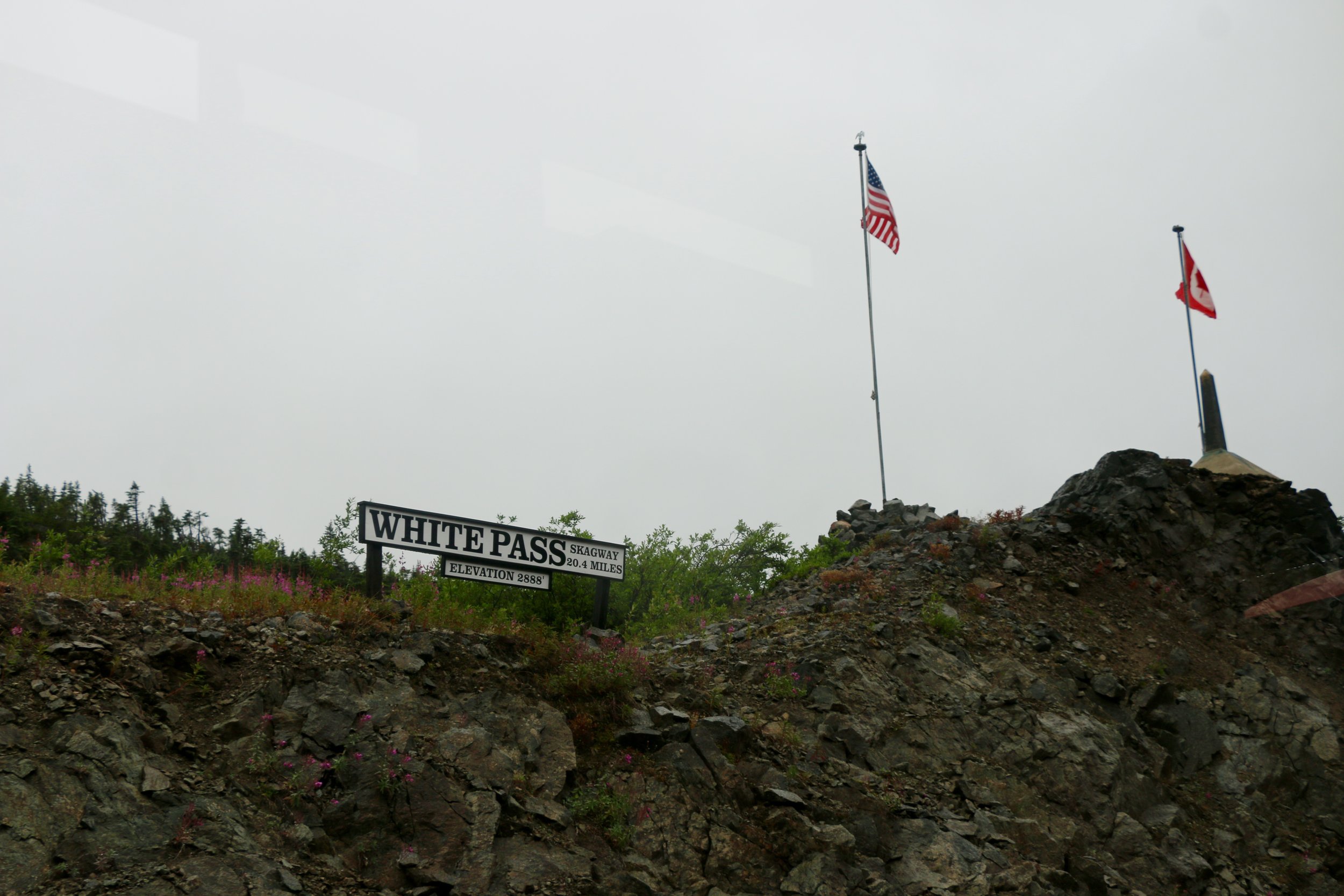 IMG_6546.jpg