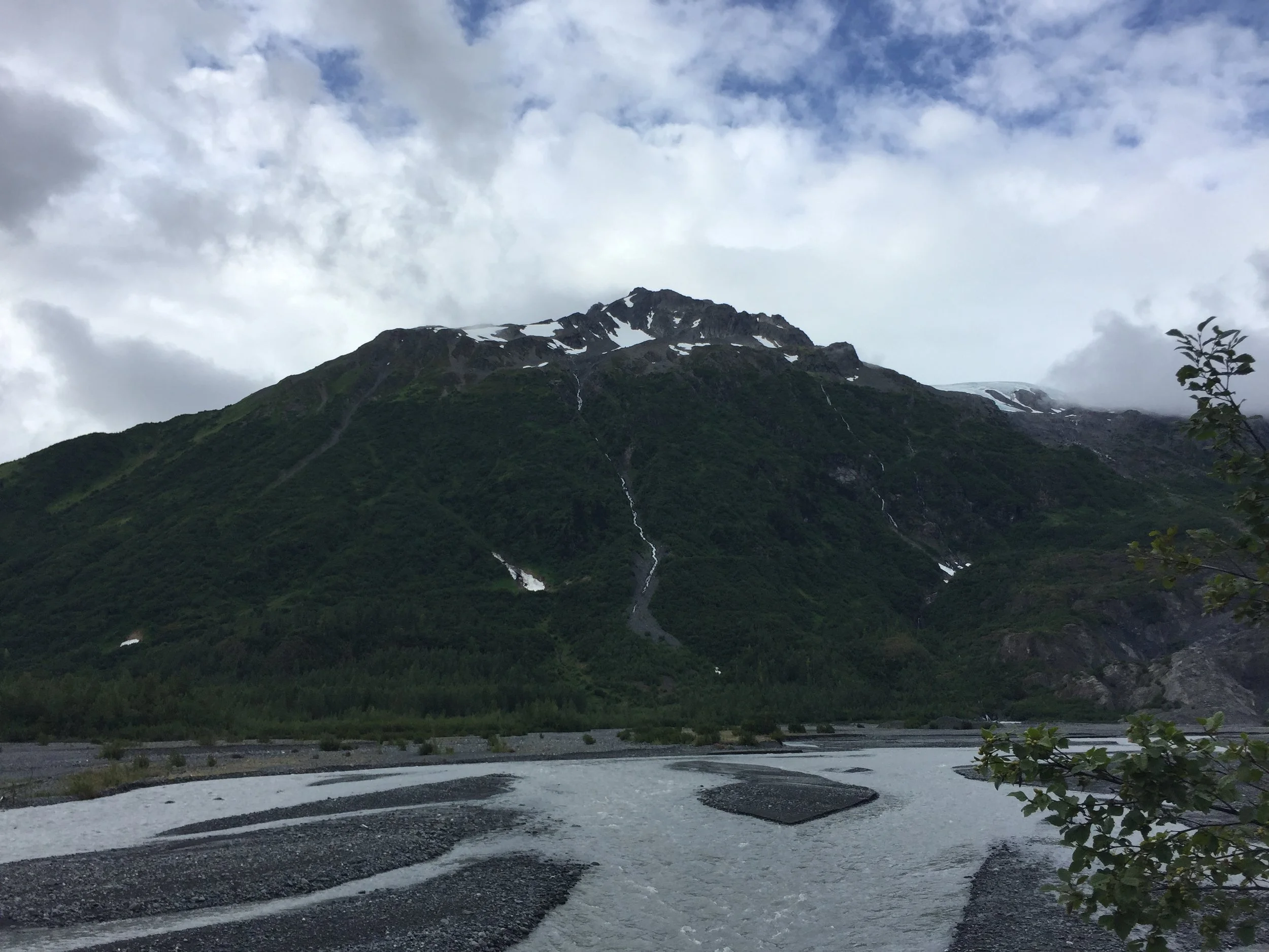 IMG_8788.JPG