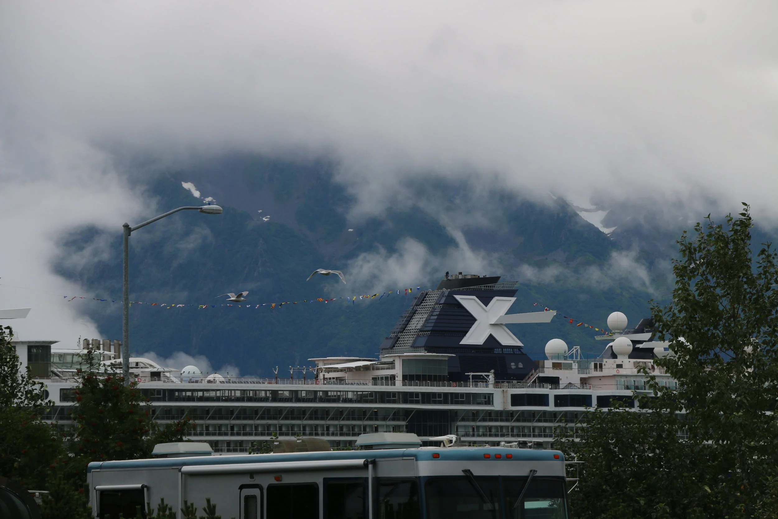 IMG_7061.JPG