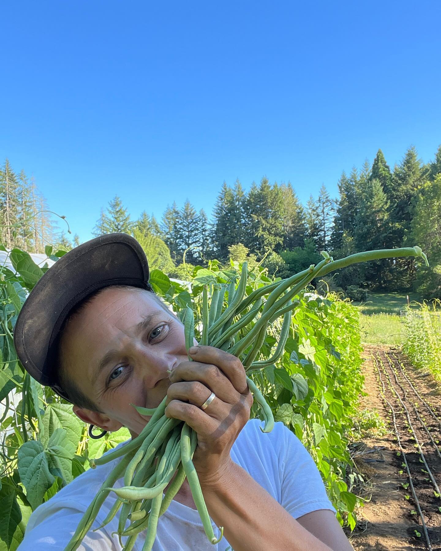 Me happy that the beans are finally cranking! 🍭