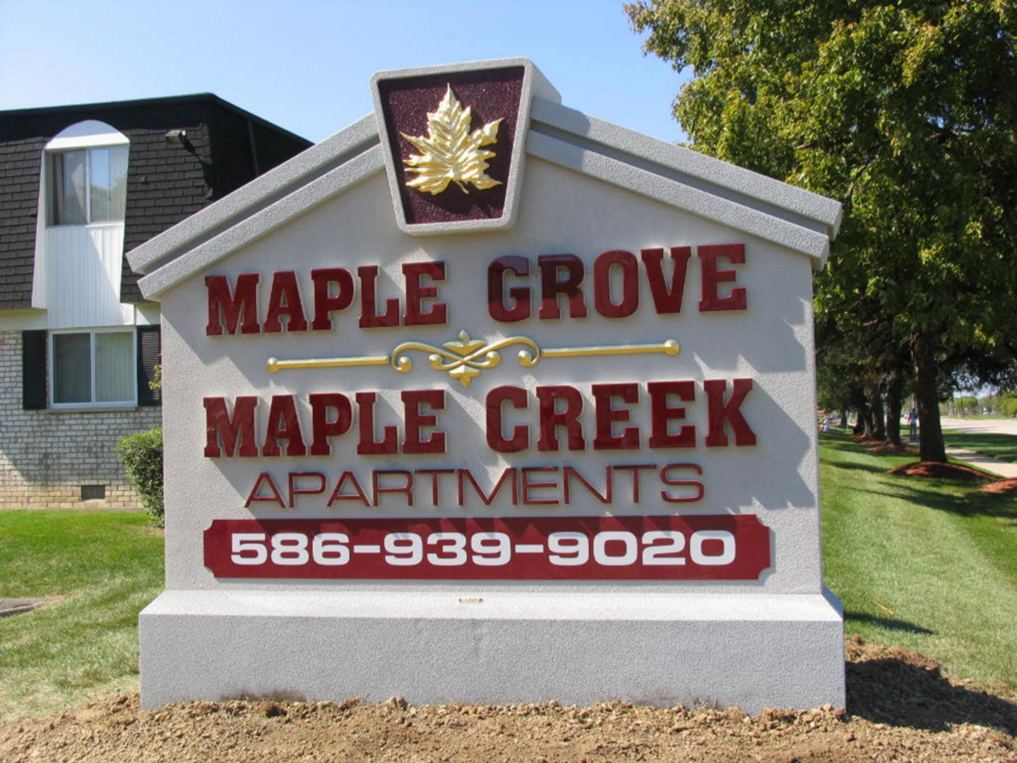 Maple Grove.jpg