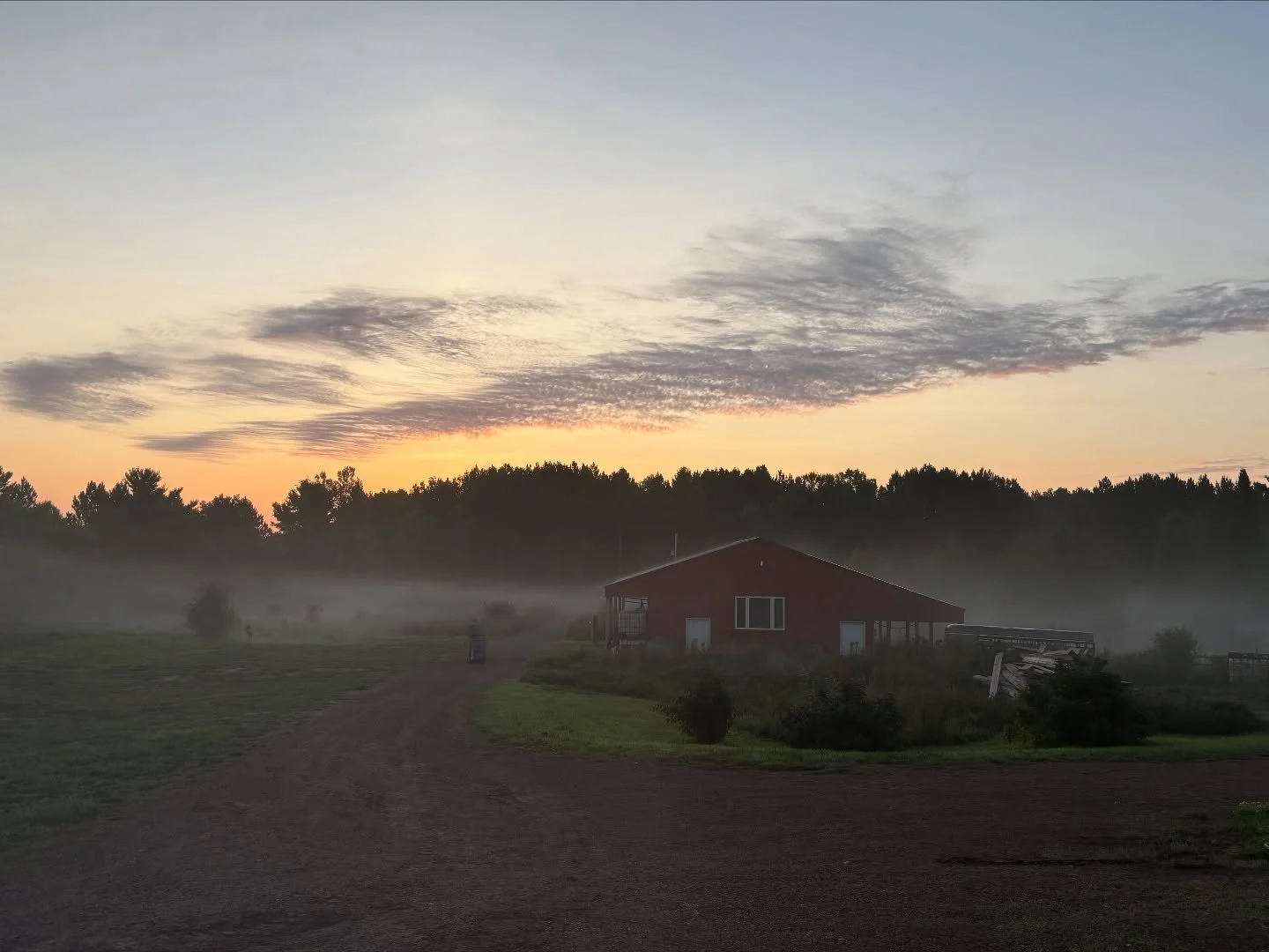 Happy Wednesday! These fall mornings are gorgeous as we often wake up with some mist/fog and the sun has yet to rise. I read that we lose 3 minutes of sunlight every day in September and I&rsquo;m missing it especially in the evenings. 

Farm life ha