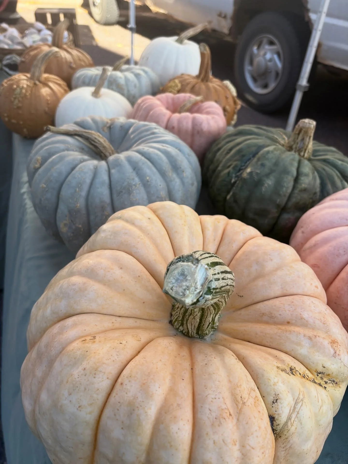 It&rsquo;s Washburn Farmers&rsquo; Market day! Come on by today until 6 pm.