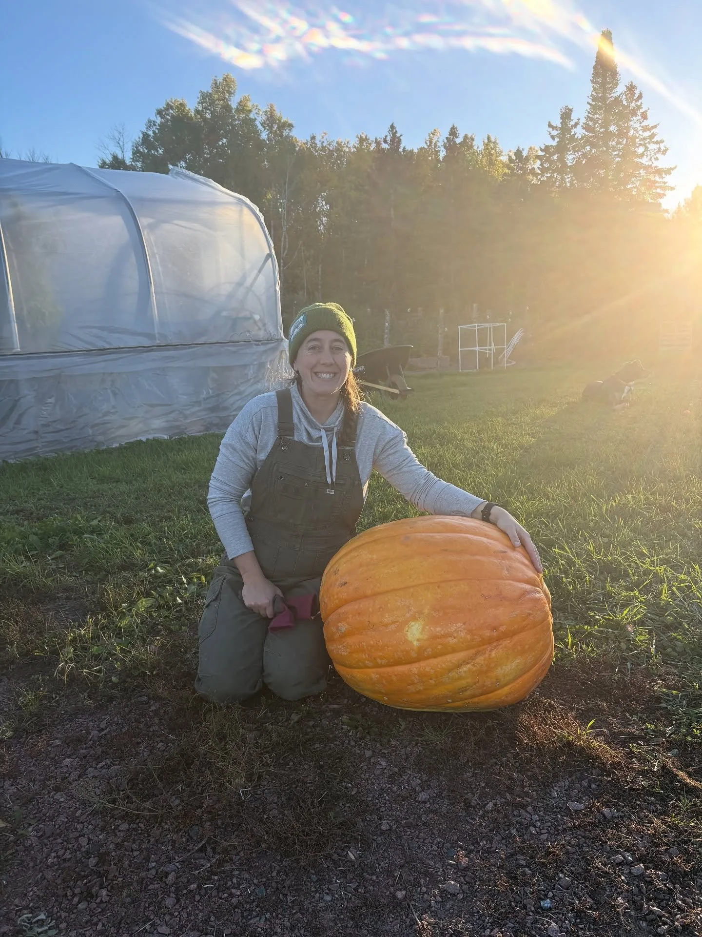 Instagram versus reality 😂 I&rsquo;m feeling super tired as this farming season continues on, but we&rsquo;re powering through it. On Saturday was the Washburn Pumpkin League weigh-off and this beautiful pumpkin came in at a whopping 117.5 lbs!! My 