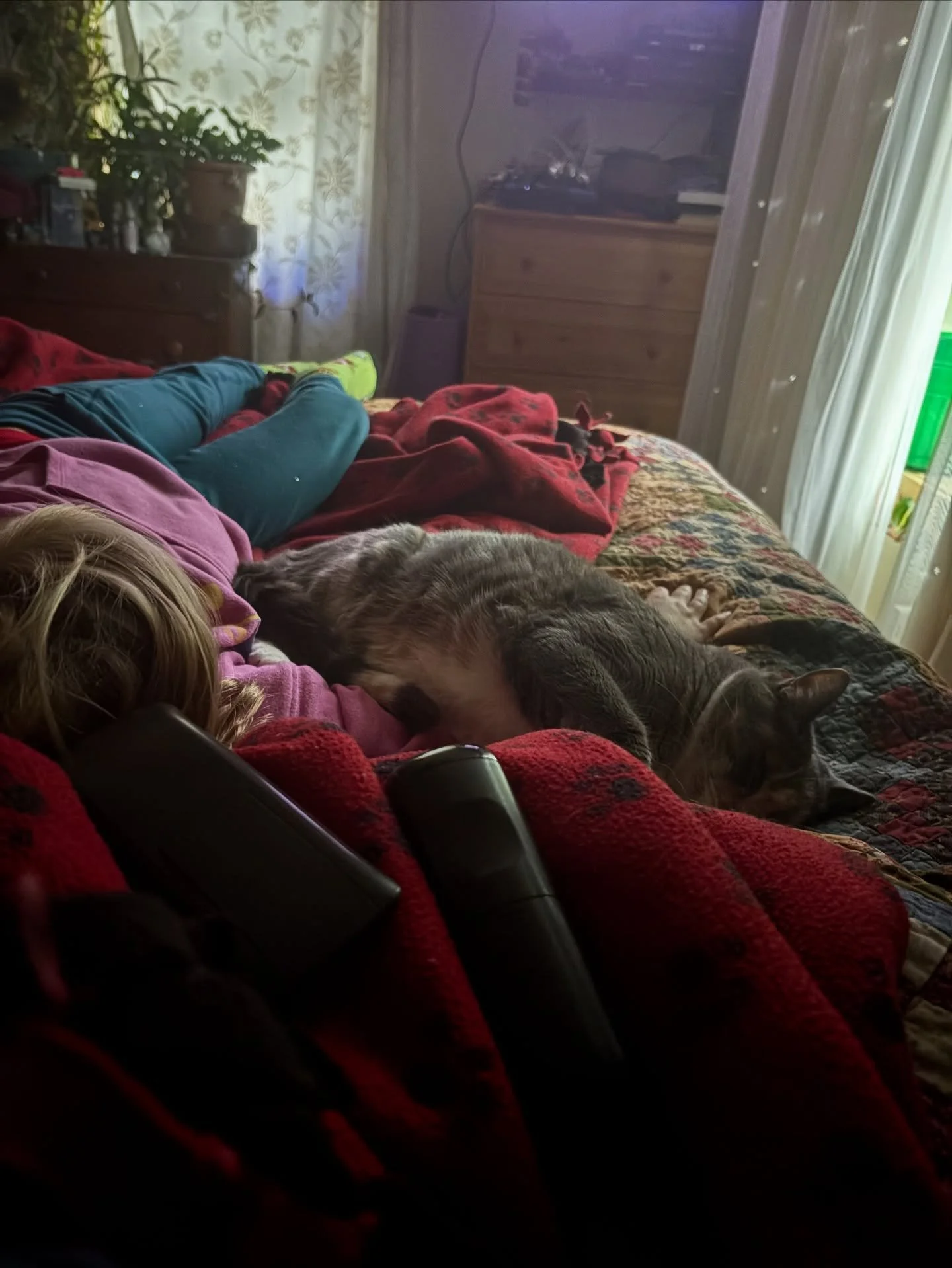 Hey. Just a heads up to our customers that eggs and chicken won&rsquo;t be getting restocked for a couple more days in our farm store. Tyler is out of town for work and I am super sick with a viral infection. It bites. So I just thought I would share