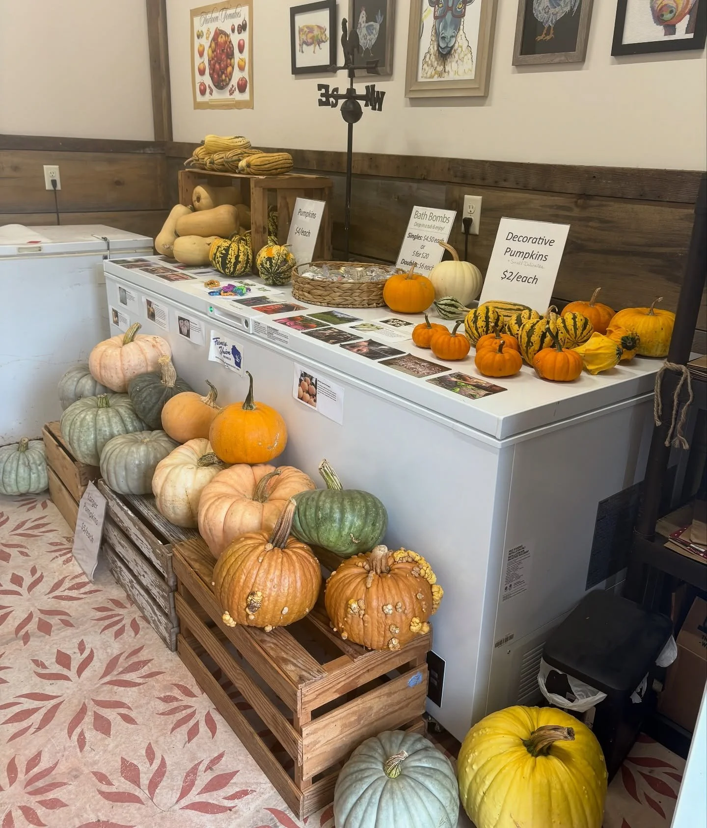 Curious about what&rsquo;s happening on the farm? Well the biggest thing lately is that our meat chickens were butchered and we now have all chicken cuts back in stock. Come on by the farm store to find chicken, what remains of our pork cuts, a varie