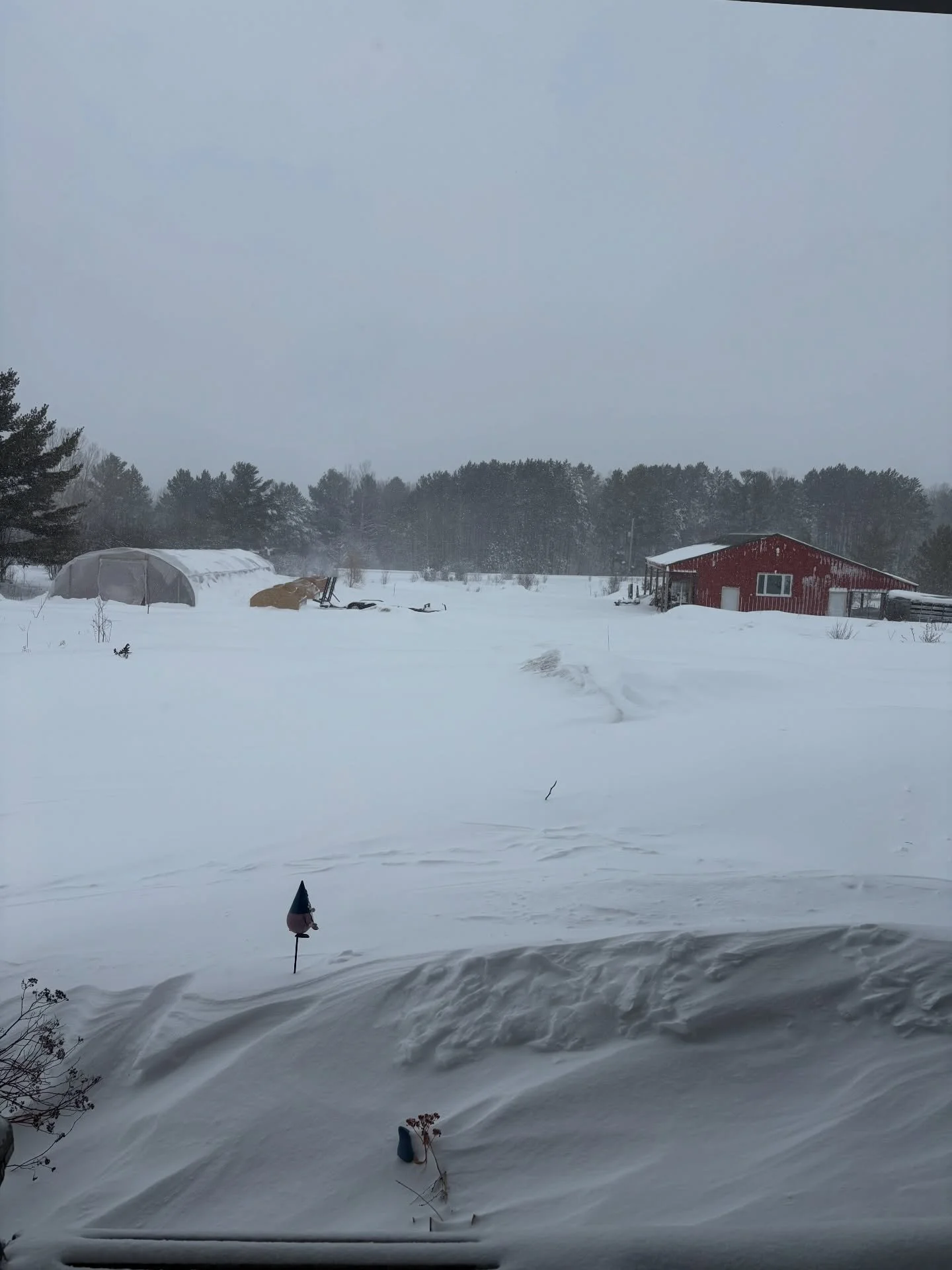 Hello world. We woke up to a lovely 10&rdquo; of fresh snow and it&rsquo;s continuing to come down! Our farm store is open today, but it&rsquo;s an adventure-at-your-own-risk kind of day because I&rsquo;m going to wait to plow until this storm is don