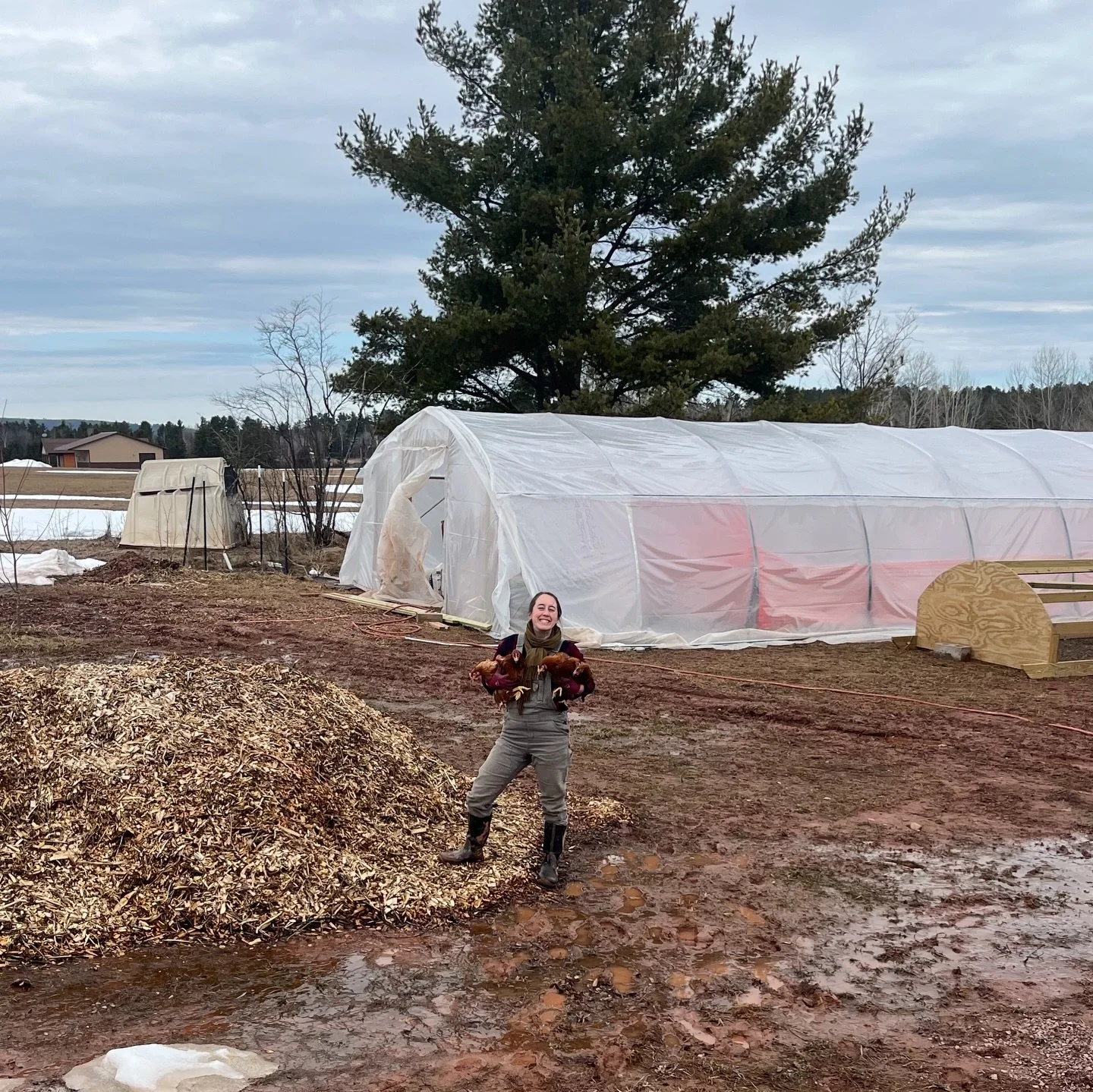Hello from the farm! After a lovely spring break trip to Texas, we&rsquo;ve returned and jumped back into farm life with lots of focus on chickens and soap making. On Saturday we welcomed 40 new pullets (~3 month old laying hens) that will begin to l