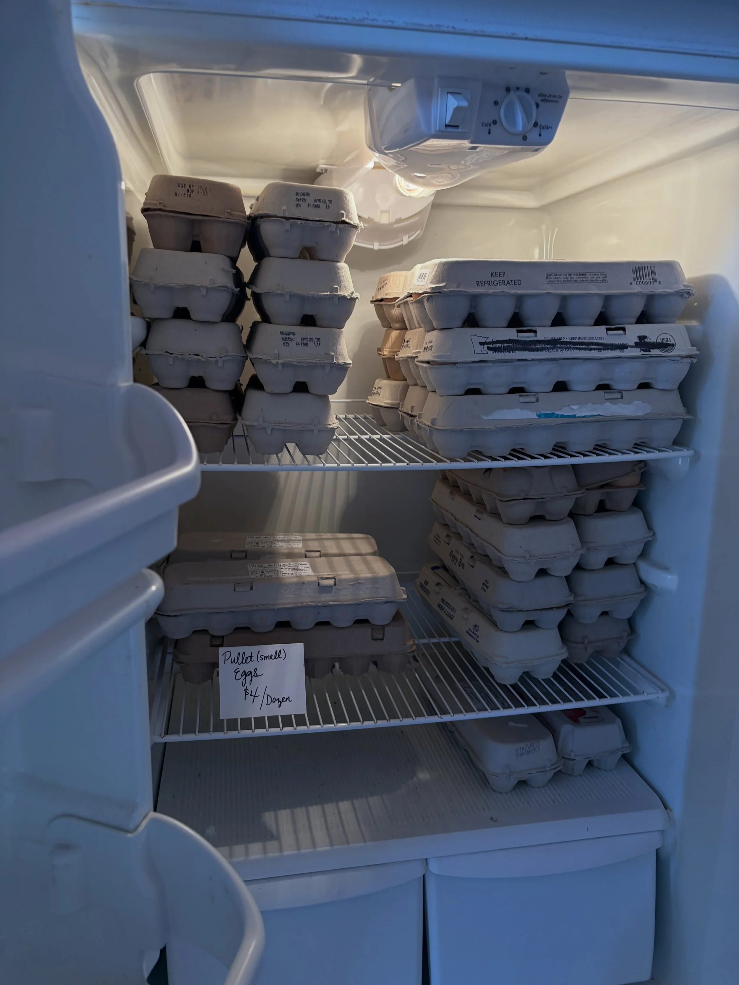 Come on by the farm and get your forever-long supply of organic eggs 😂 We have 30 dozen eggs in the store fridge and they just keep coming.  Thankfully we got up the electric fencing around them yesterday so we feel a lot better with our coyote prob