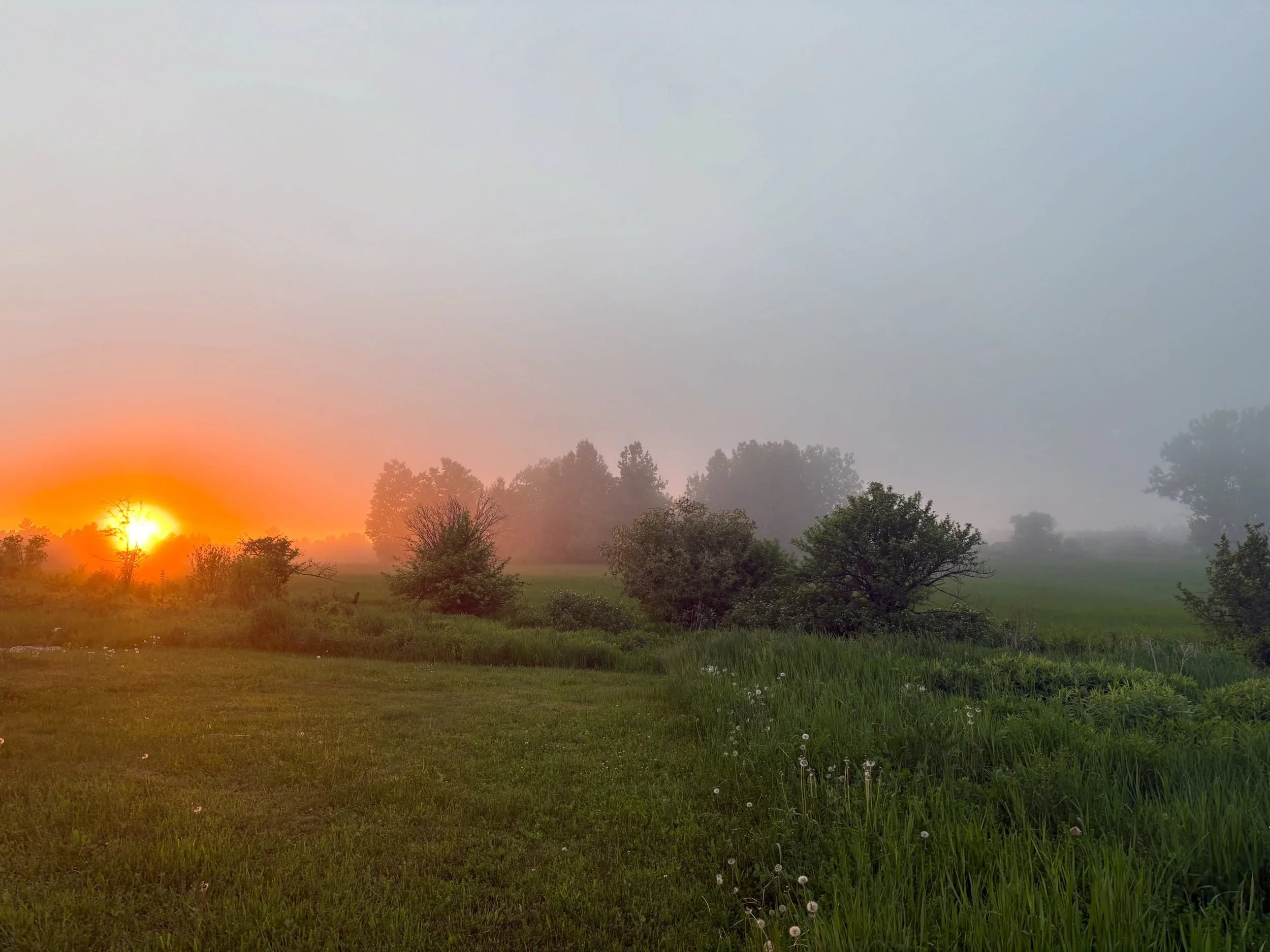 Hello from the farm. I will not be at the Washburn Farmers&rsquo; Market today as a big storm is blowing through right around the beginning. I&rsquo;m just not feeling up for fighting the elements and keeping the tent from blowing away. We do have al