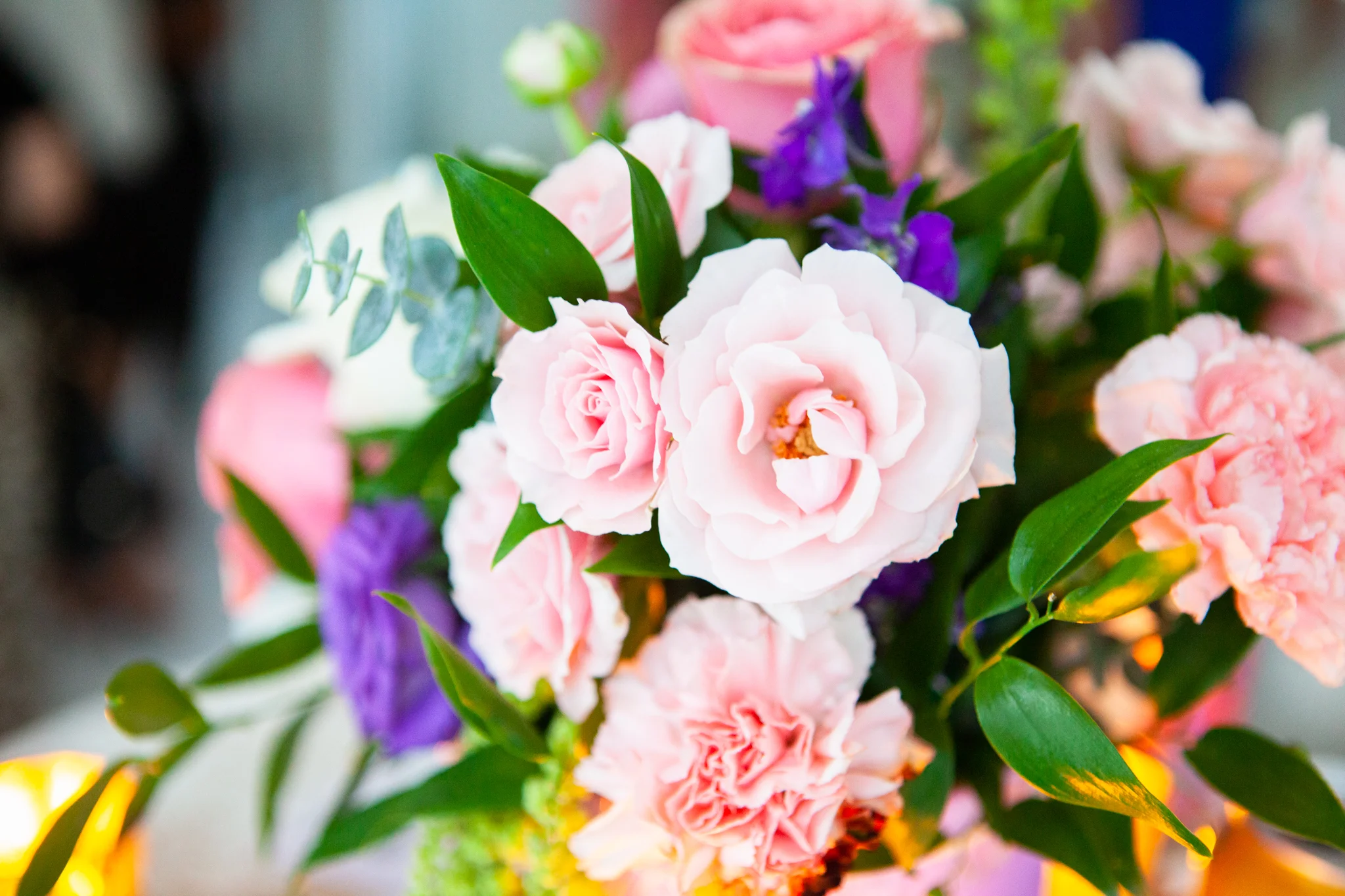 IMG_3142-Edit.jpg