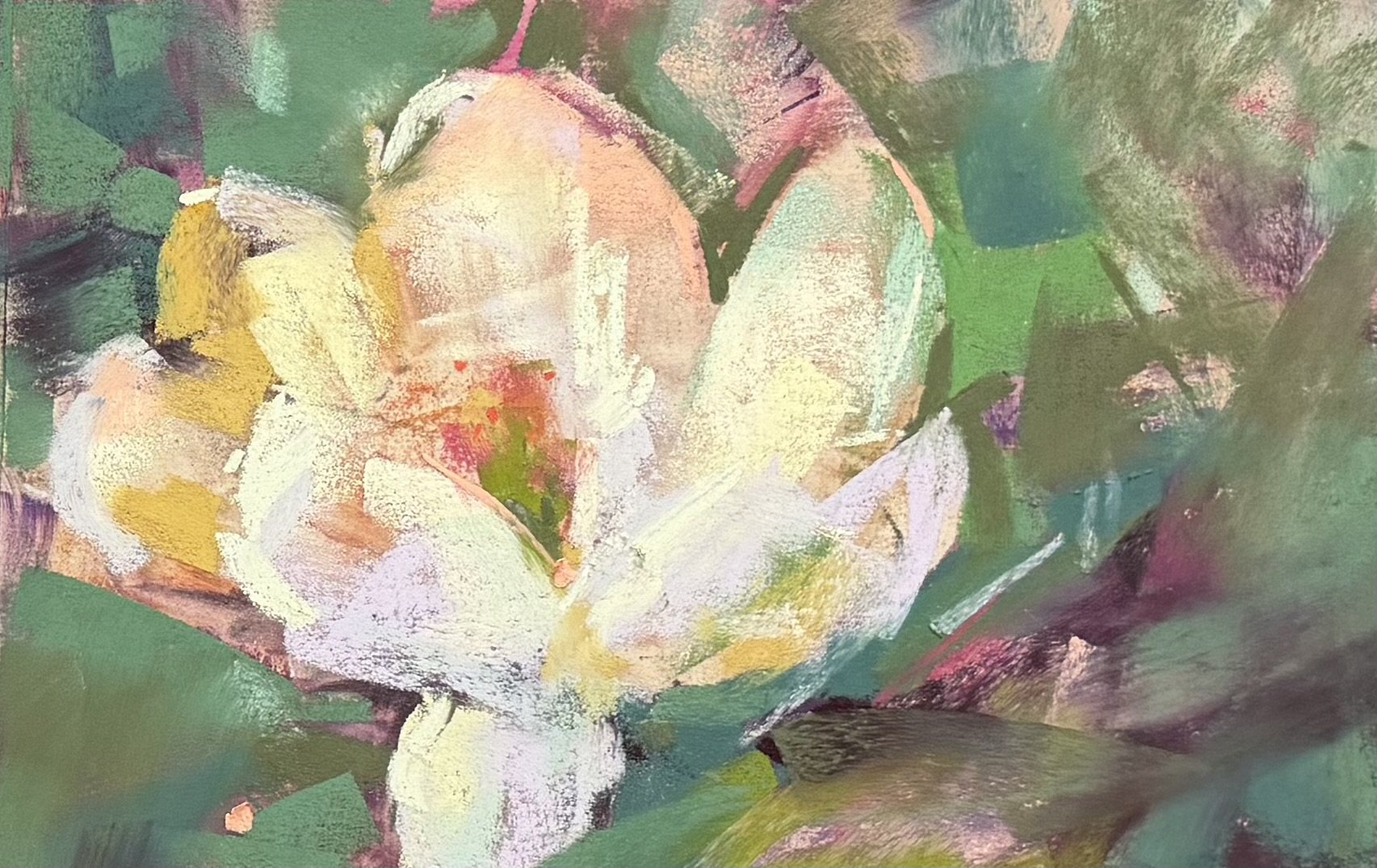 Moonglow Magnolia.jpeg