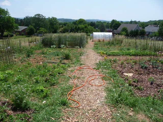 Garden1.JPG