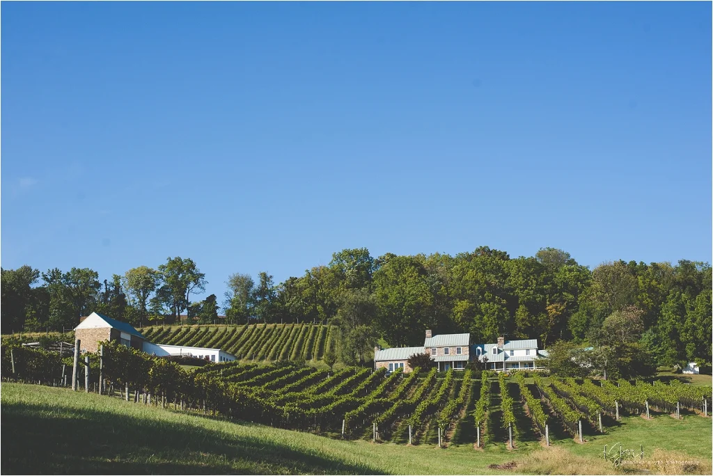 hillsborough_vineyard_virginia_wedding_0001.jpg