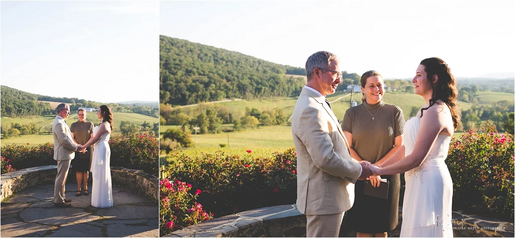 hillsborough_vineyard_virginia_wedding_0017.jpg
