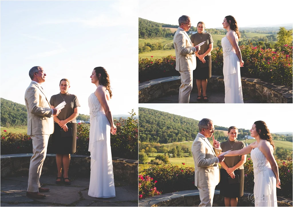 hillsborough_vineyard_virginia_wedding_0022.jpg
