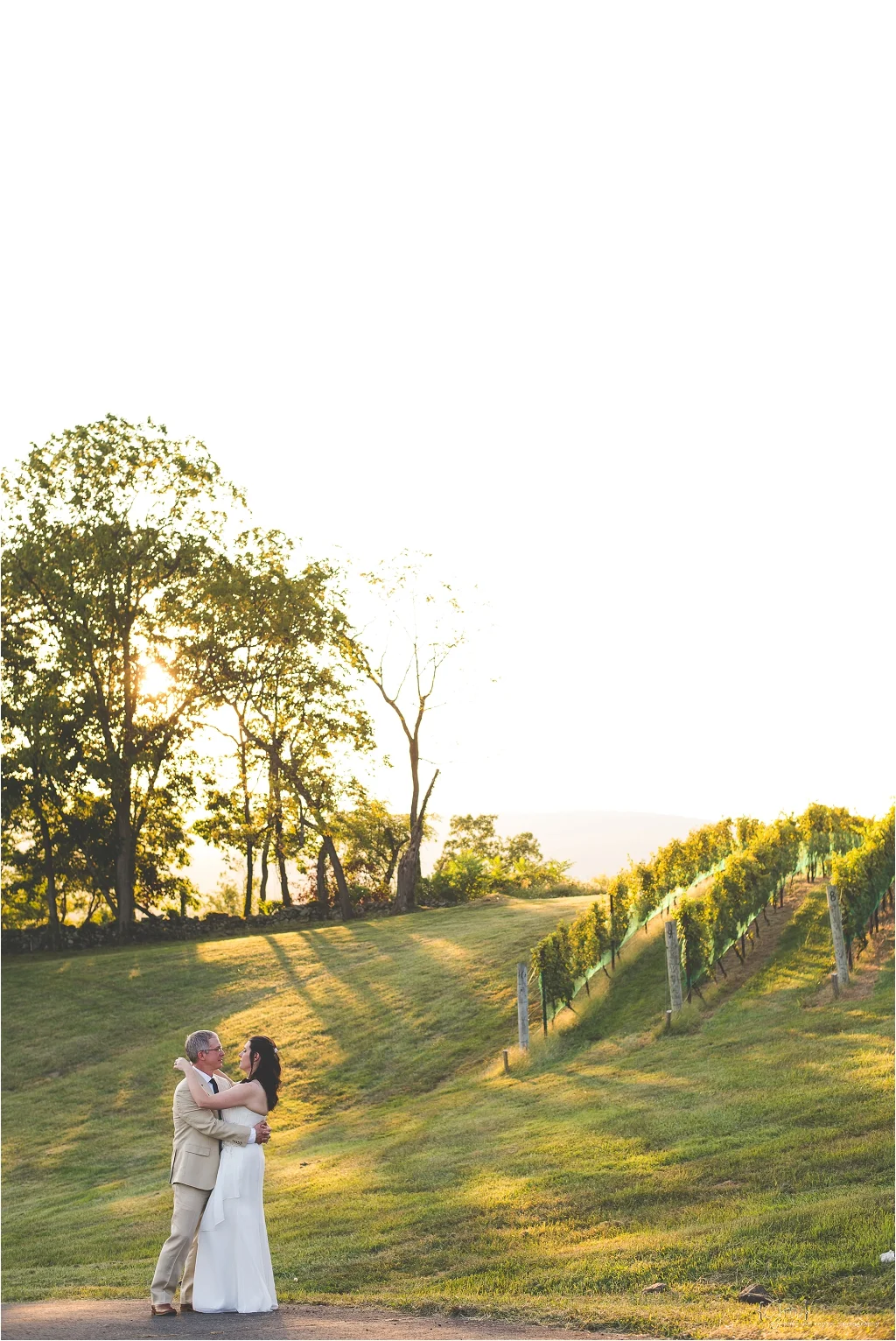 hillsborough_vineyard_virginia_wedding_0041.jpg
