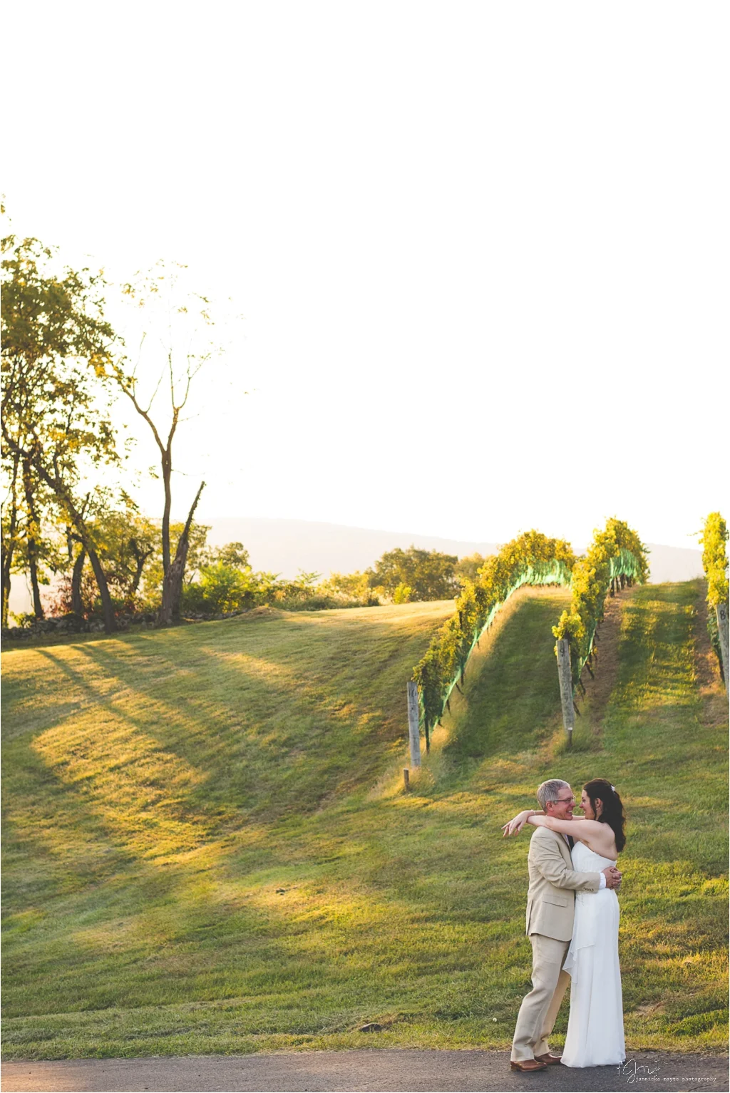 hillsborough_vineyard_virginia_wedding_0042.jpg