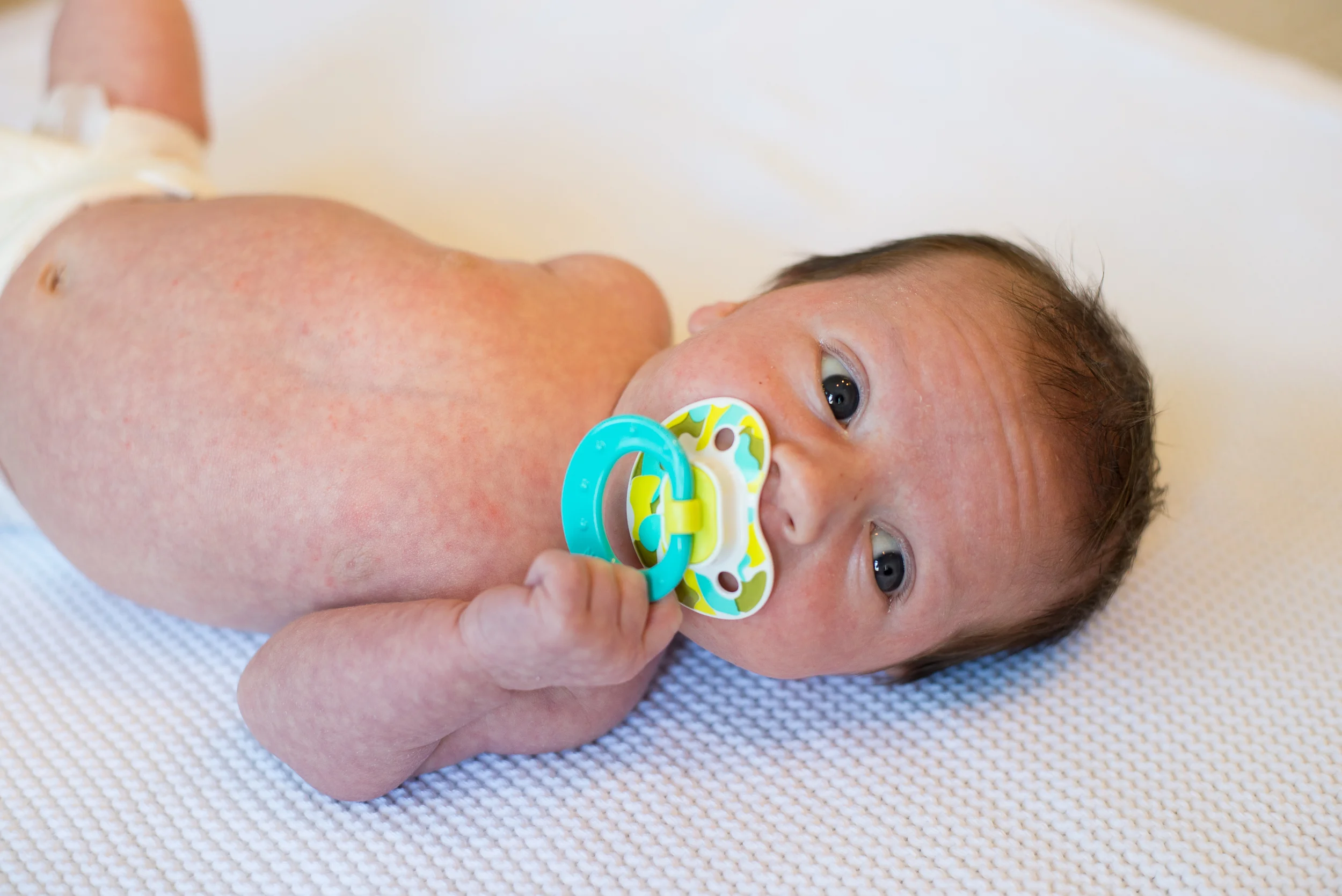 Adler | One Month Old