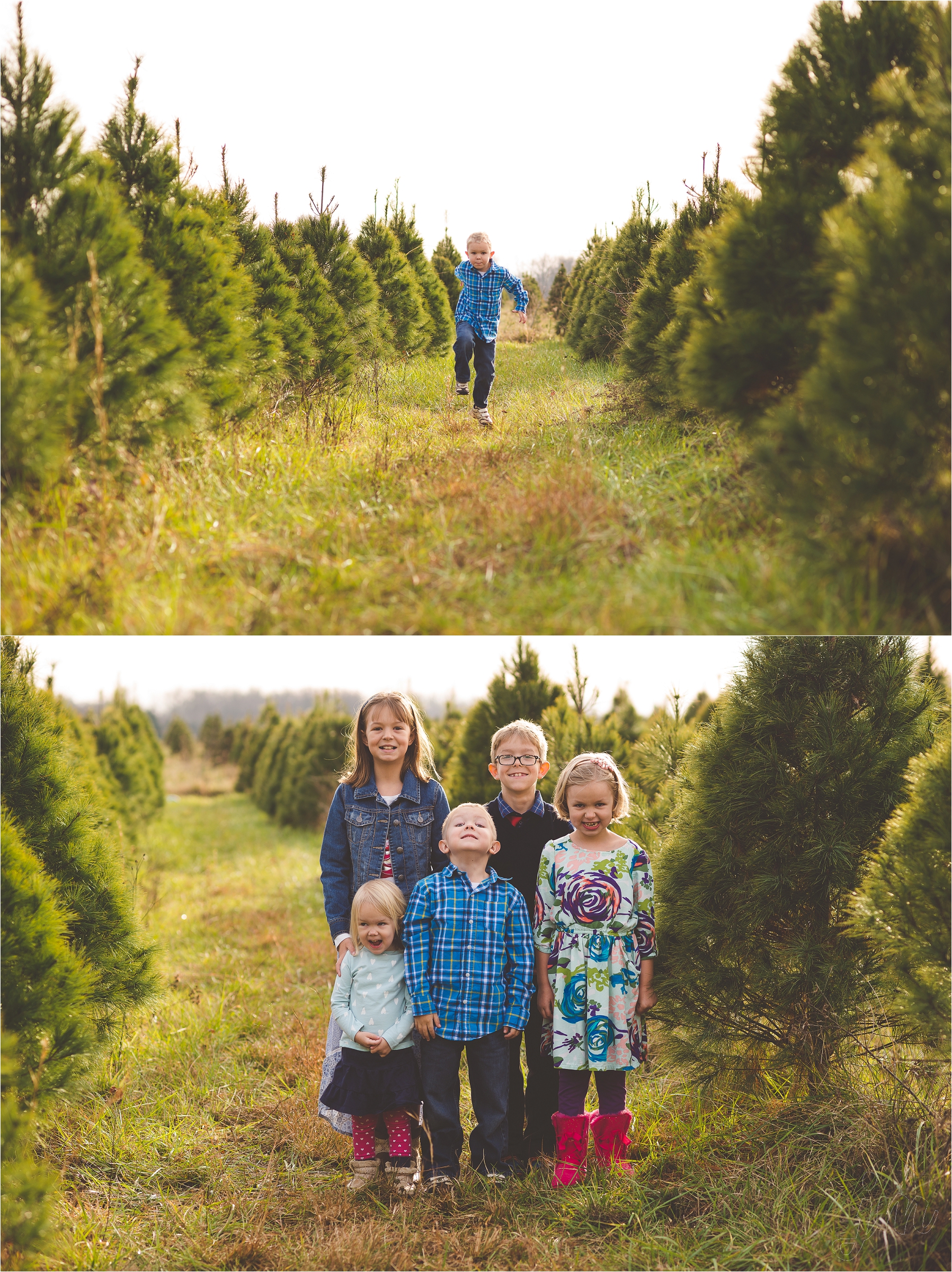 christmas-tree-farm-session-pnw-jannicka-mayte_0004.jpg