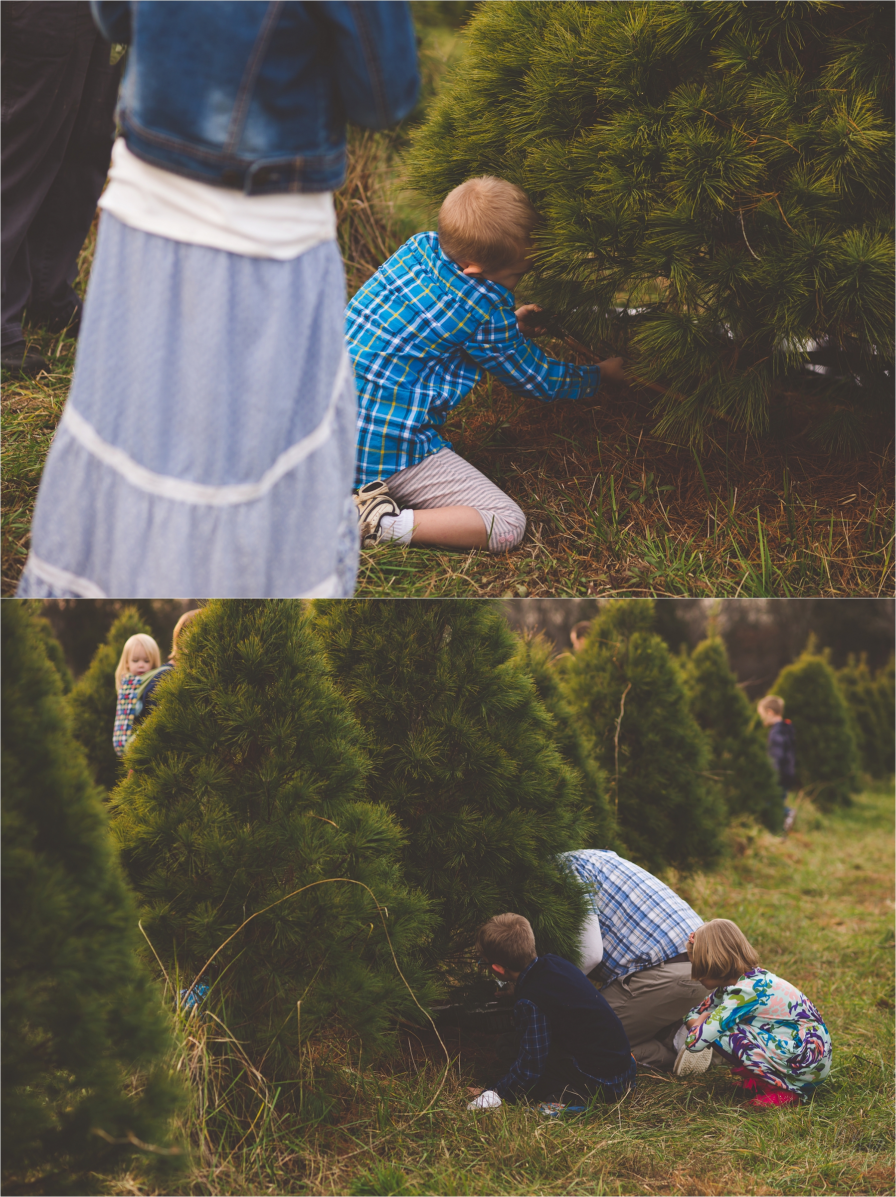 christmas-tree-farm-session-pnw-jannicka-mayte_0040.jpg