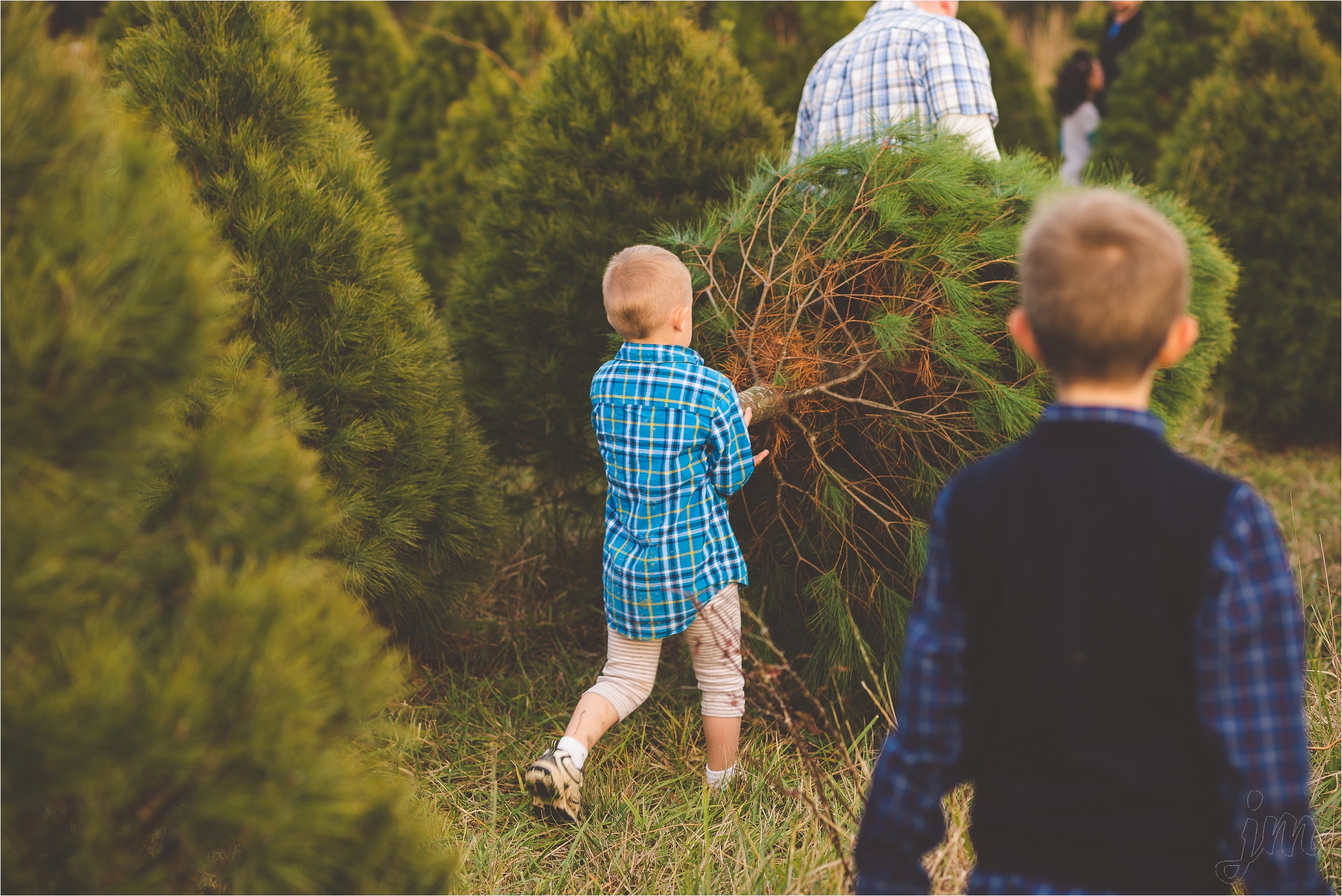 christmas-tree-farm-session-pnw-jannicka-mayte_0043.jpg