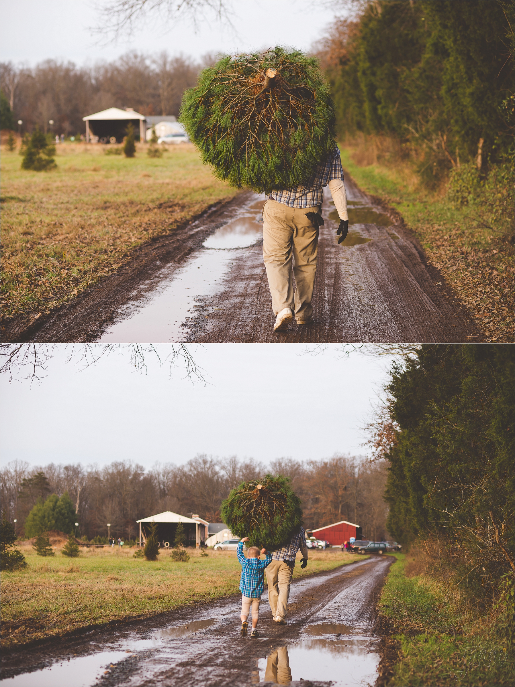 christmas-tree-farm-session-pnw-jannicka-mayte_0045.jpg