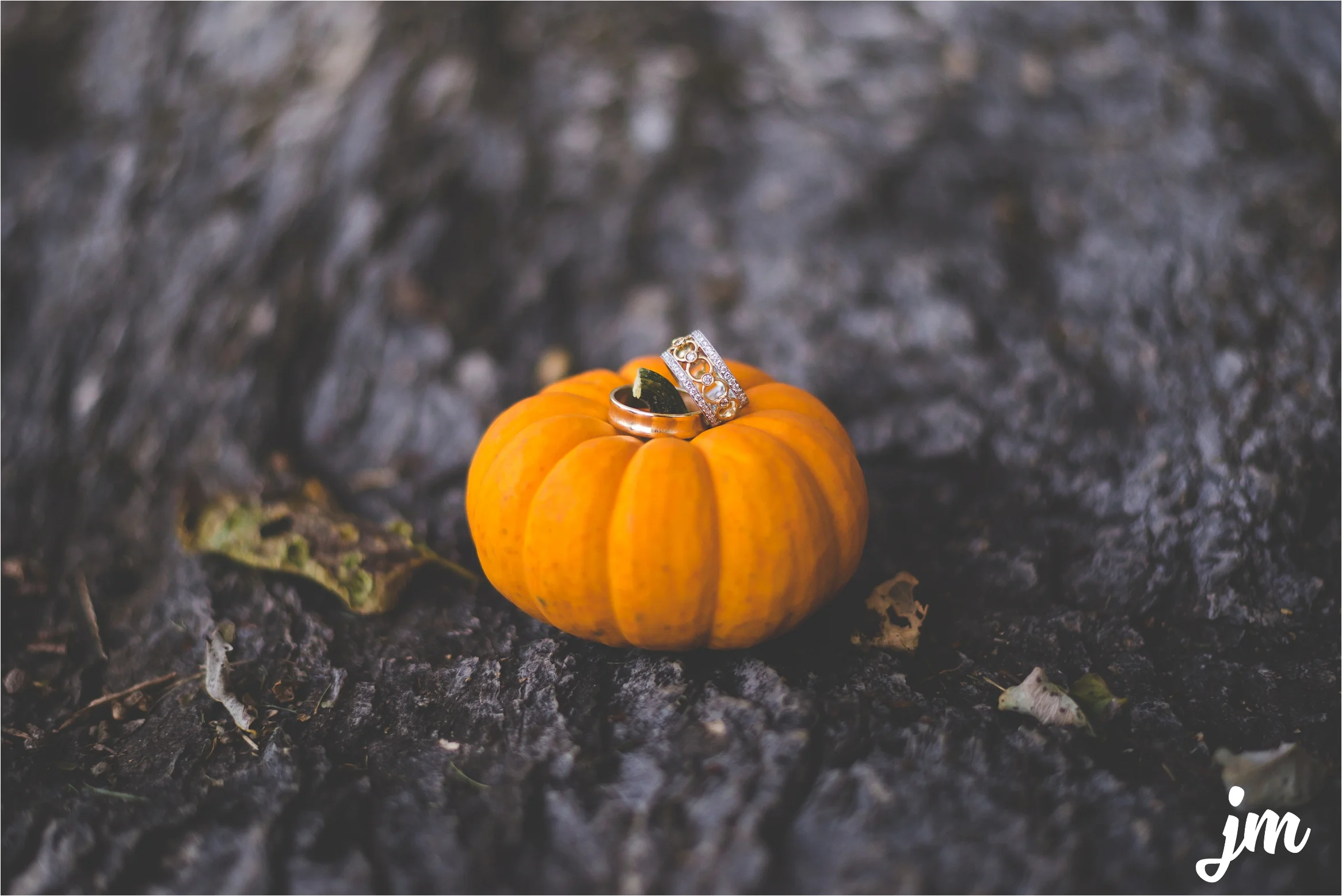 backyard-wedding-pacific-northwest-photographer-jannicka-mayte_0033.jpg